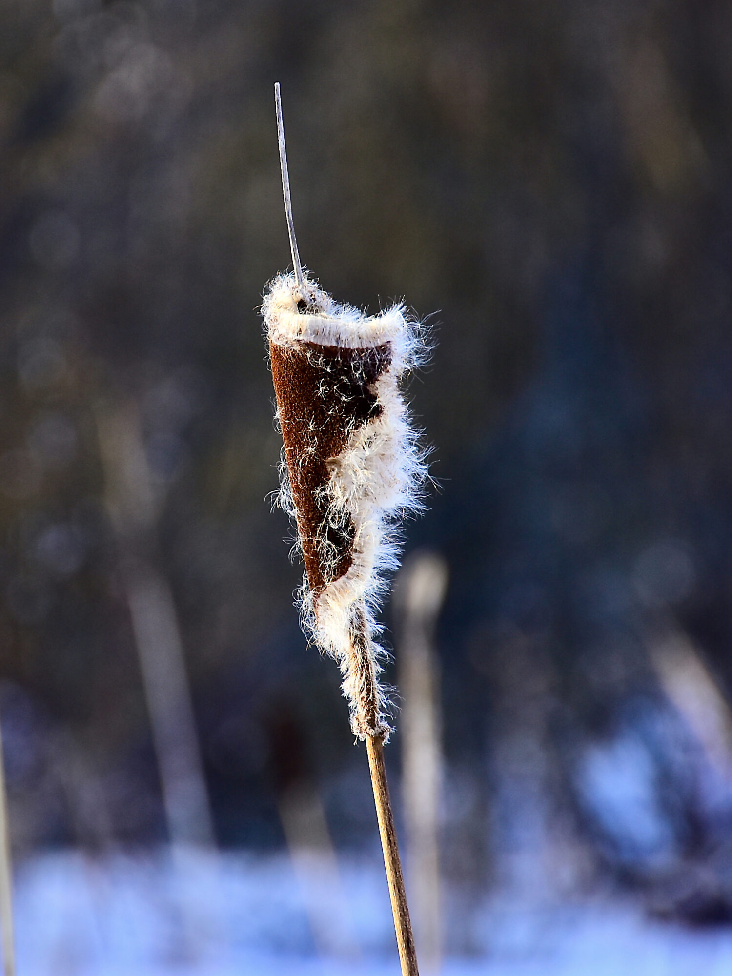 Valokuvaaja: Lasse Rokka