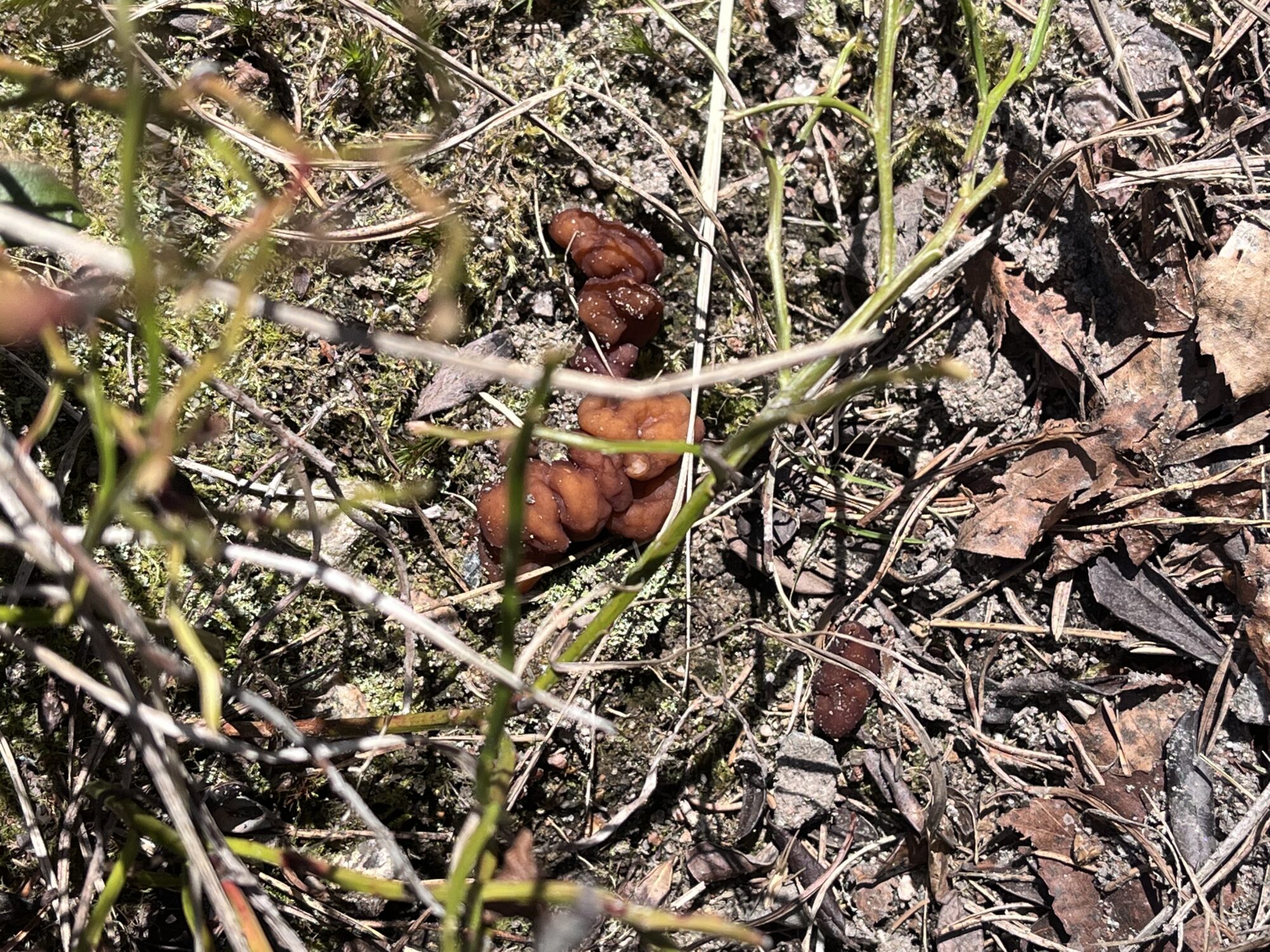 Valokuvaaja: Pirjo Salo