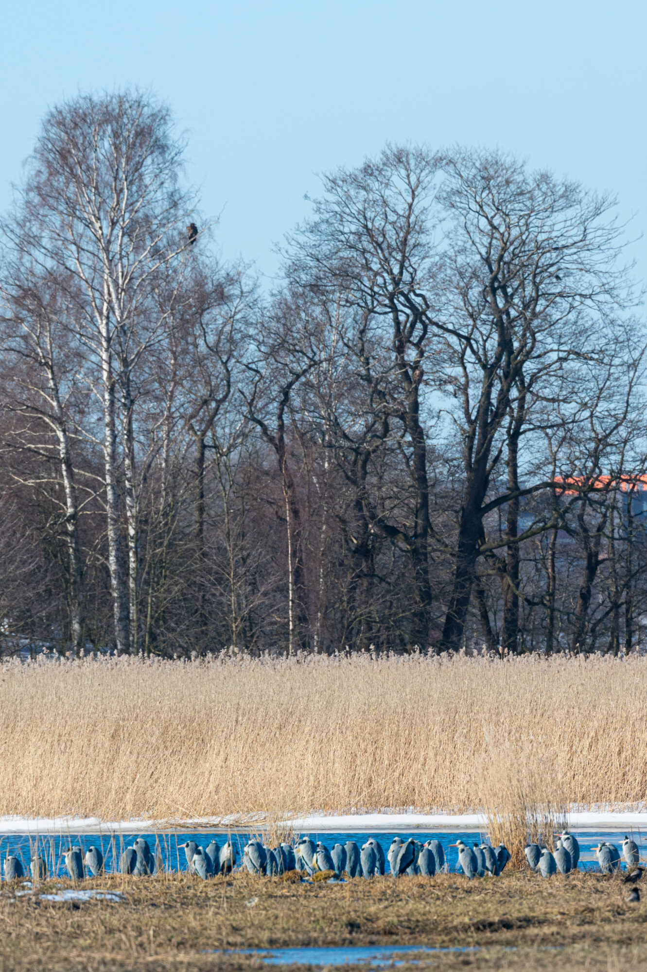 Valokuvaaja: Ville Koponen