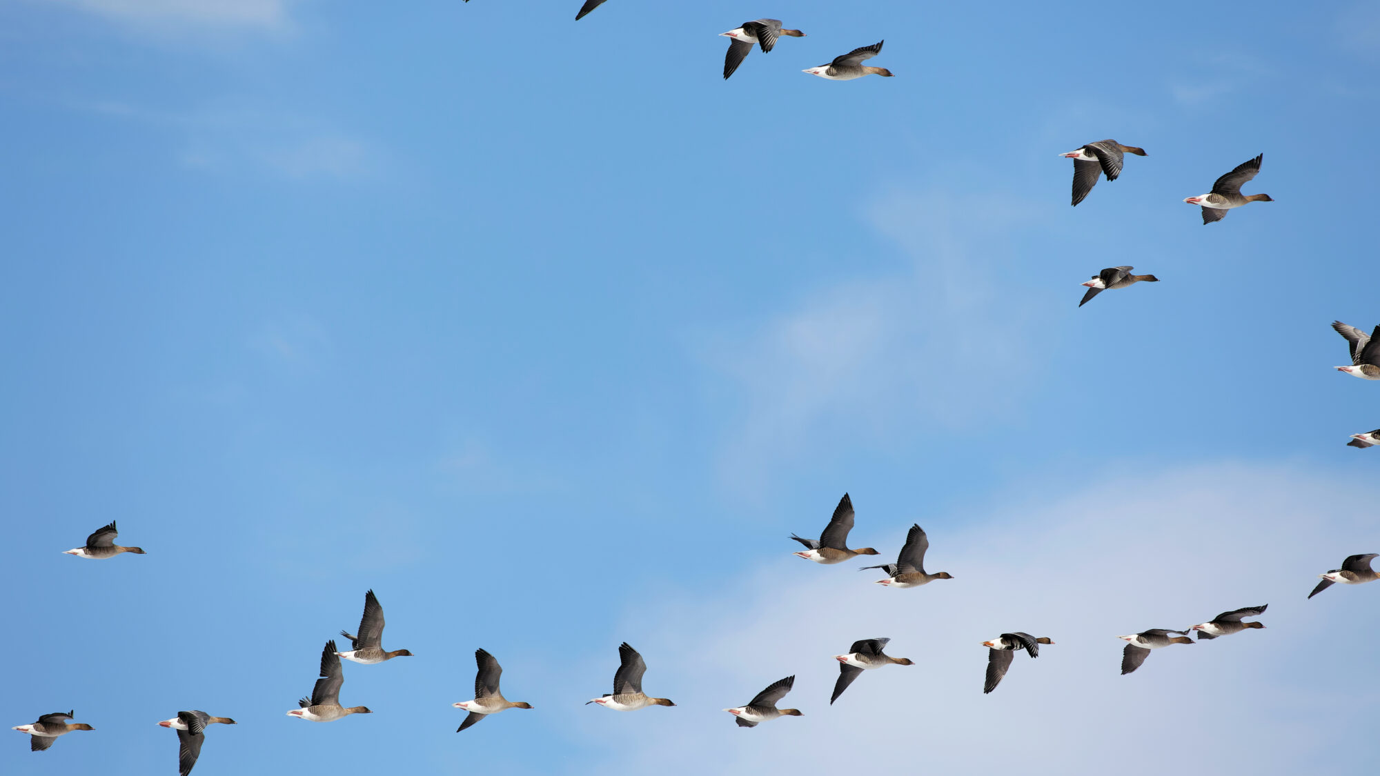 Valokuvaaja: TOMMI KUJALA