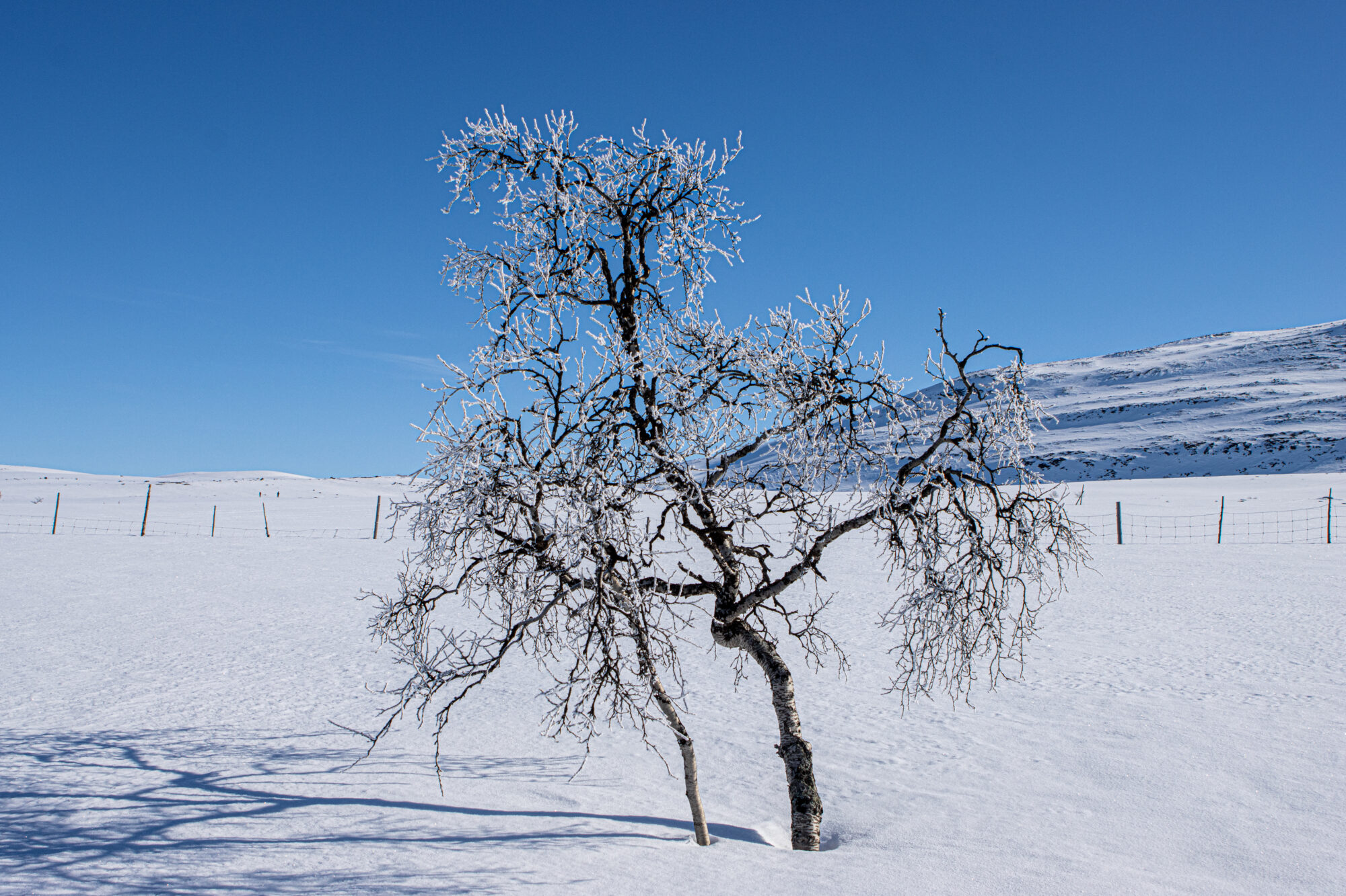 Valokuvaaja: Katri Niskanen