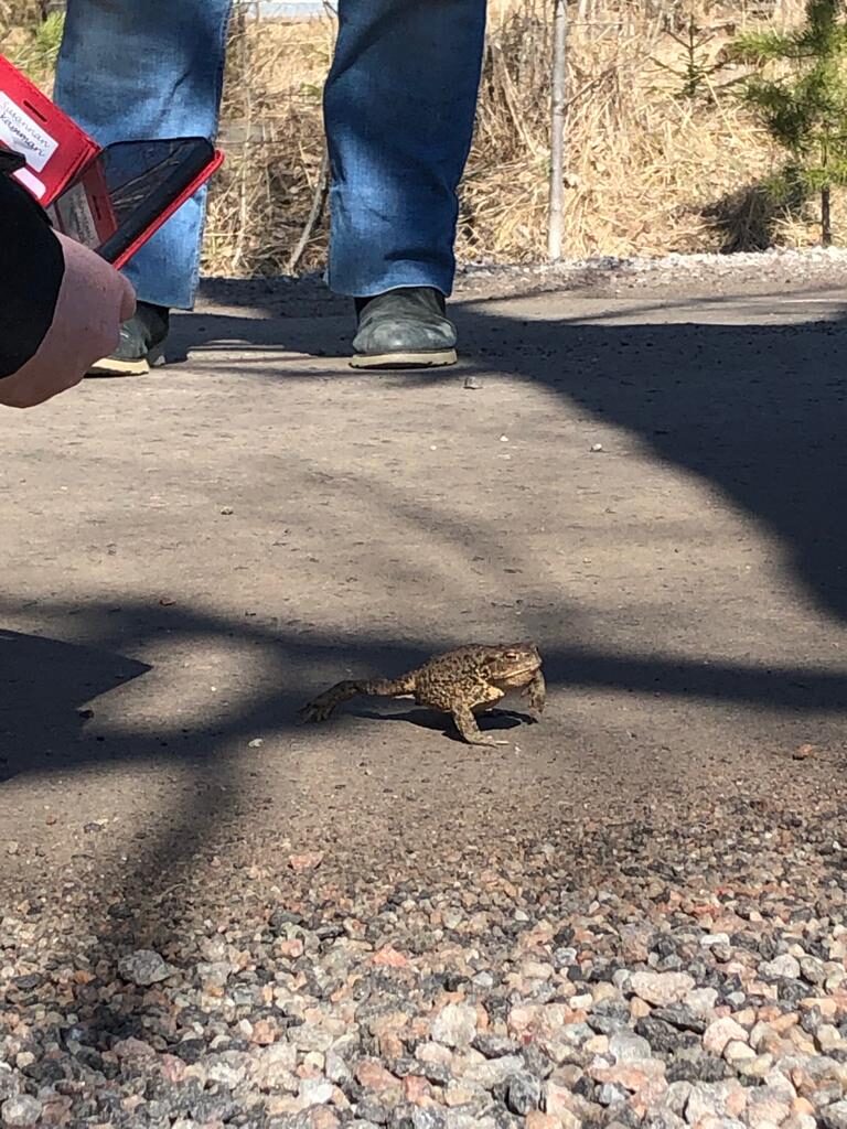 Valokuvaaja: Alvar Ilmonen