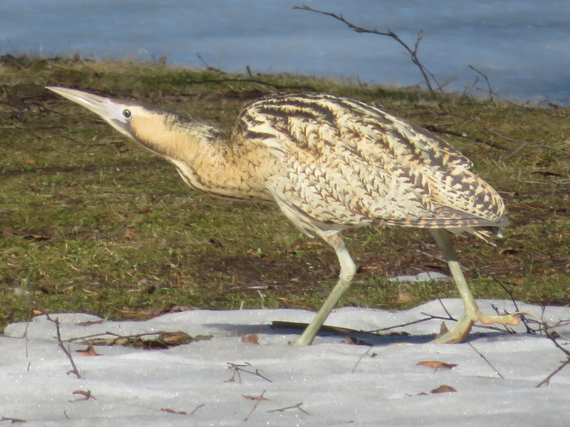 Valokuvaaja: Anja Santalahti
