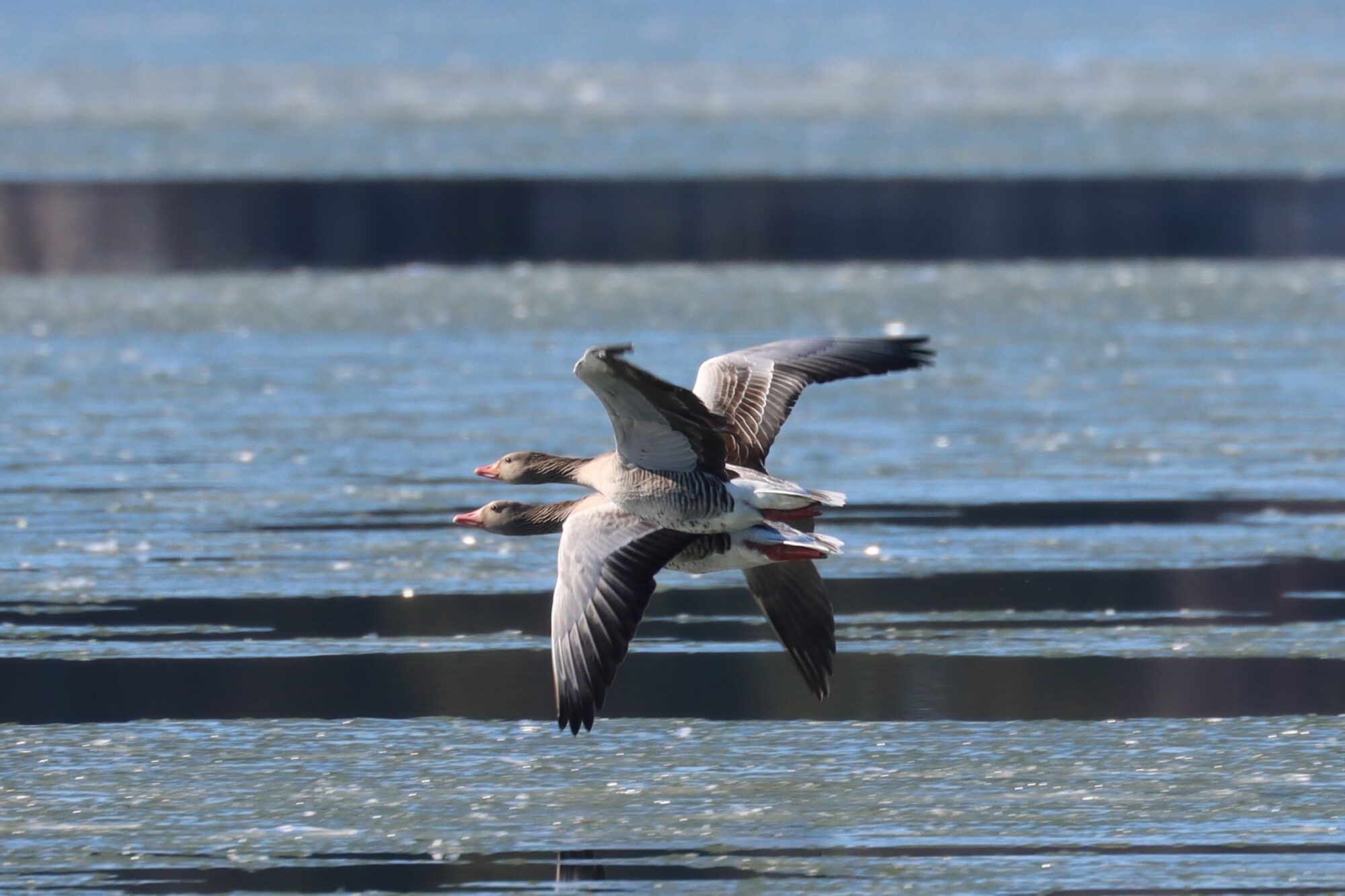 Valokuvaaja: Susanna Hannula
