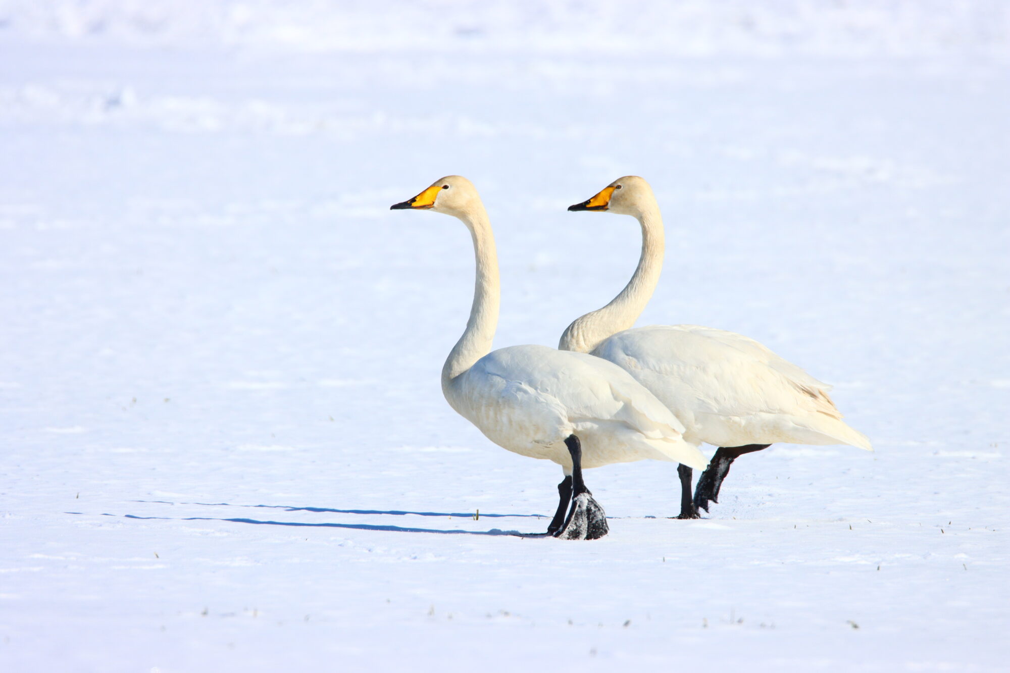 Valokuvaaja: Irja Lehtinen Valokuvaaja: Irja Lehtinen