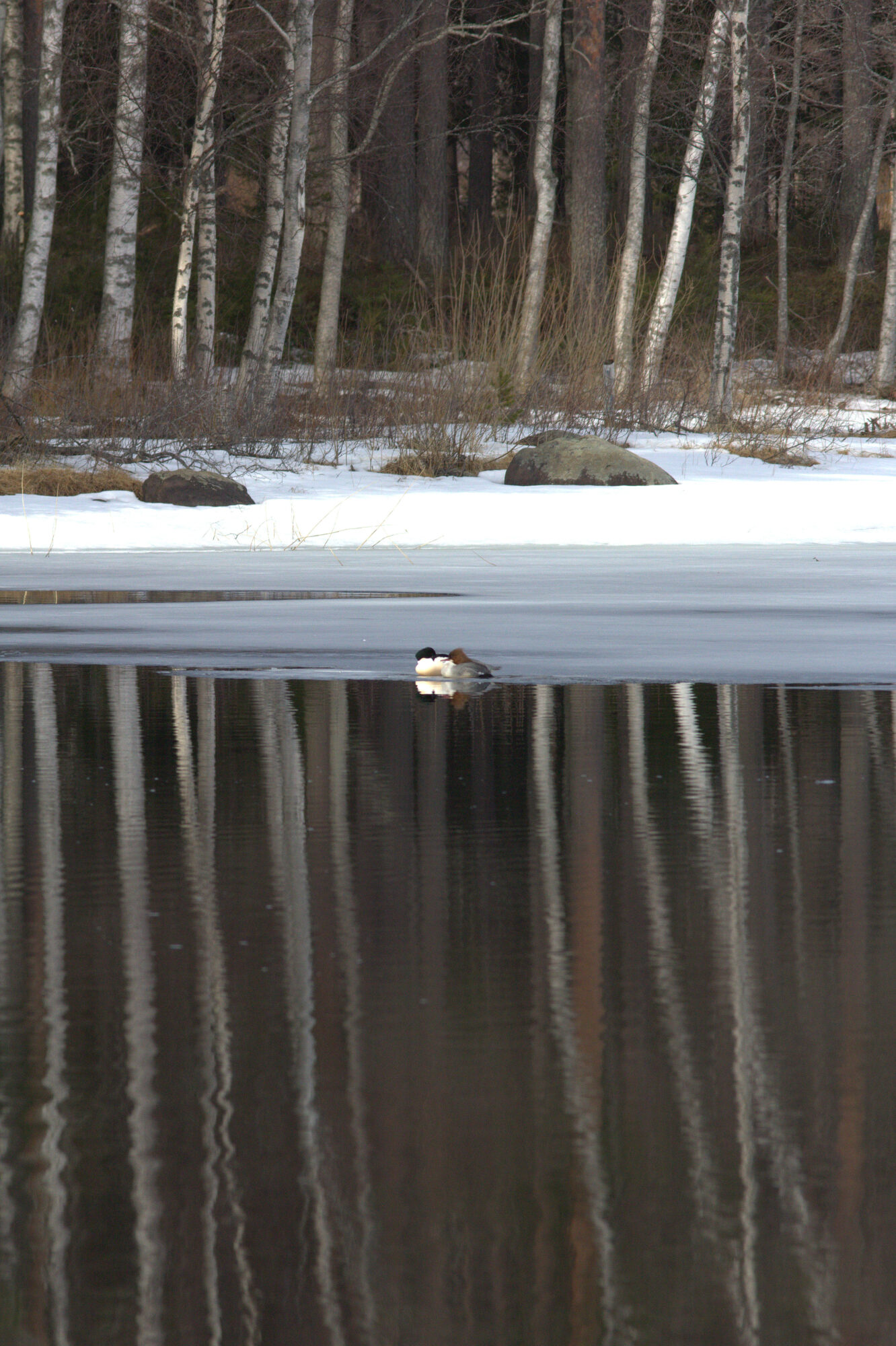 Valokuvaaja: Tapio Keinonen