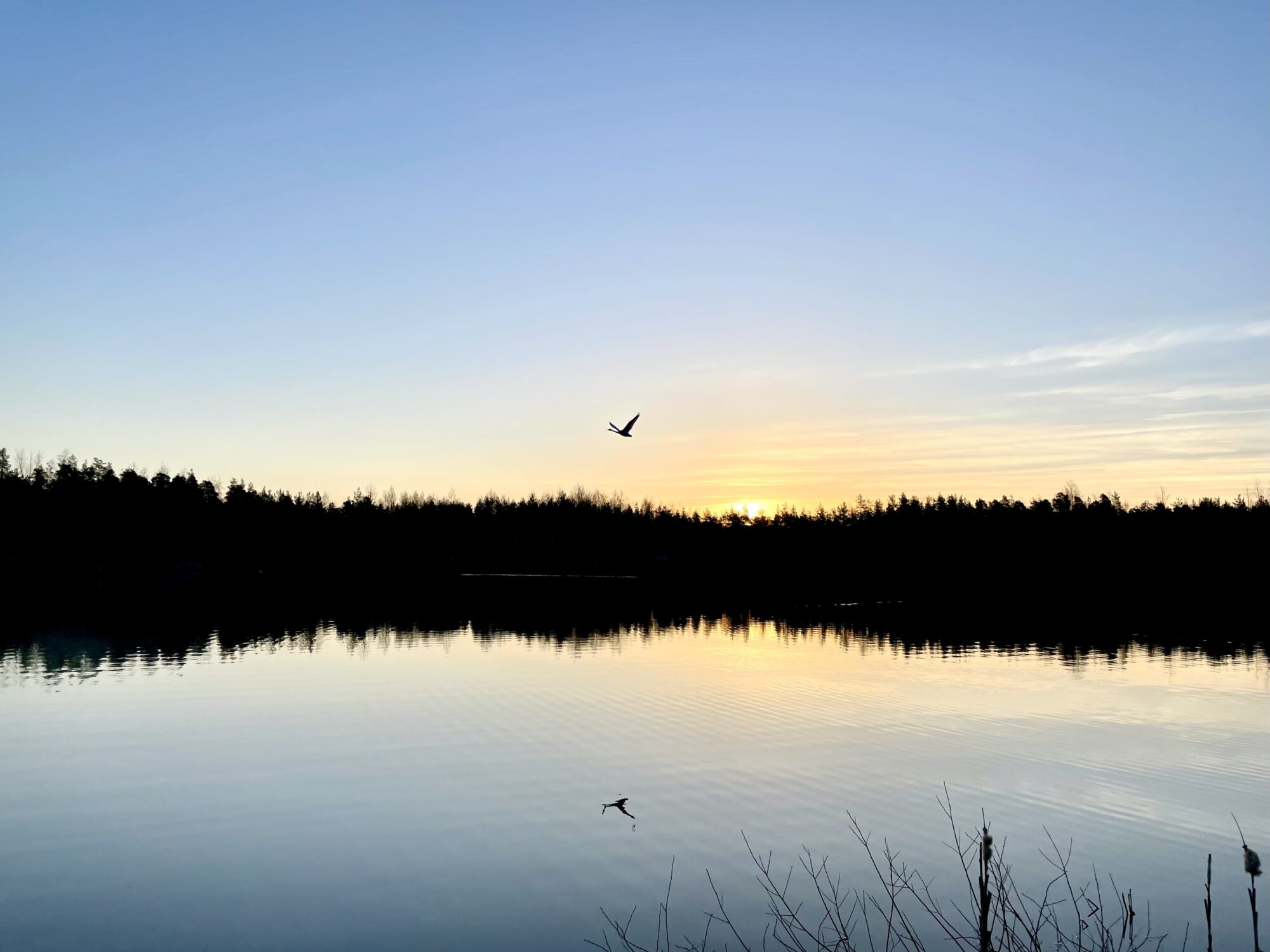 Valokuvaaja: Juhani Peltonen