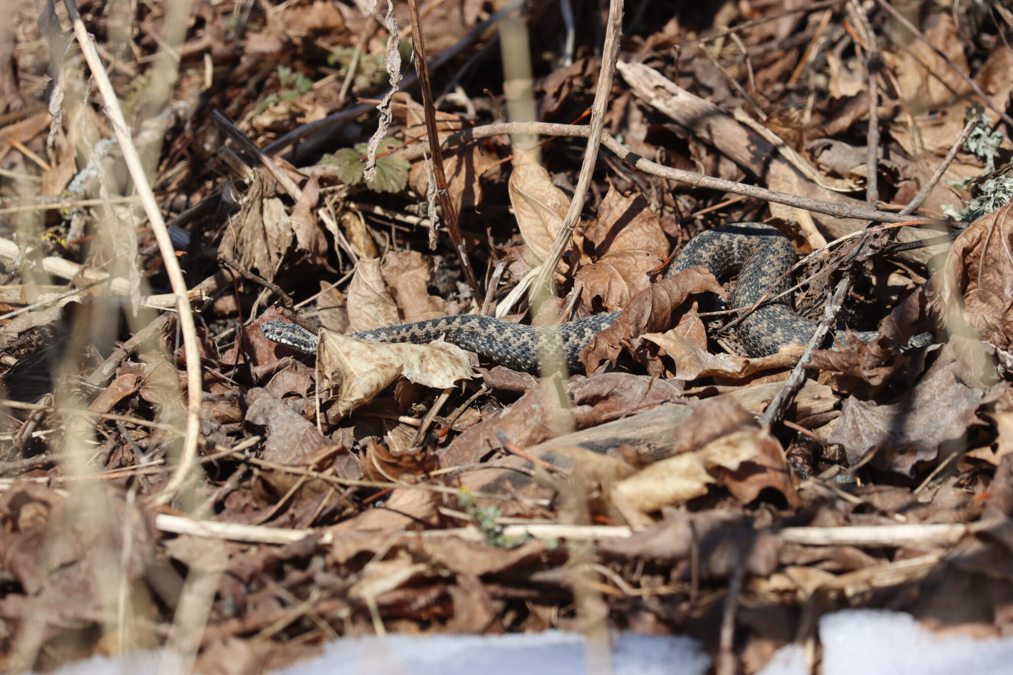 Valokuvaaja: Susanna Hannula