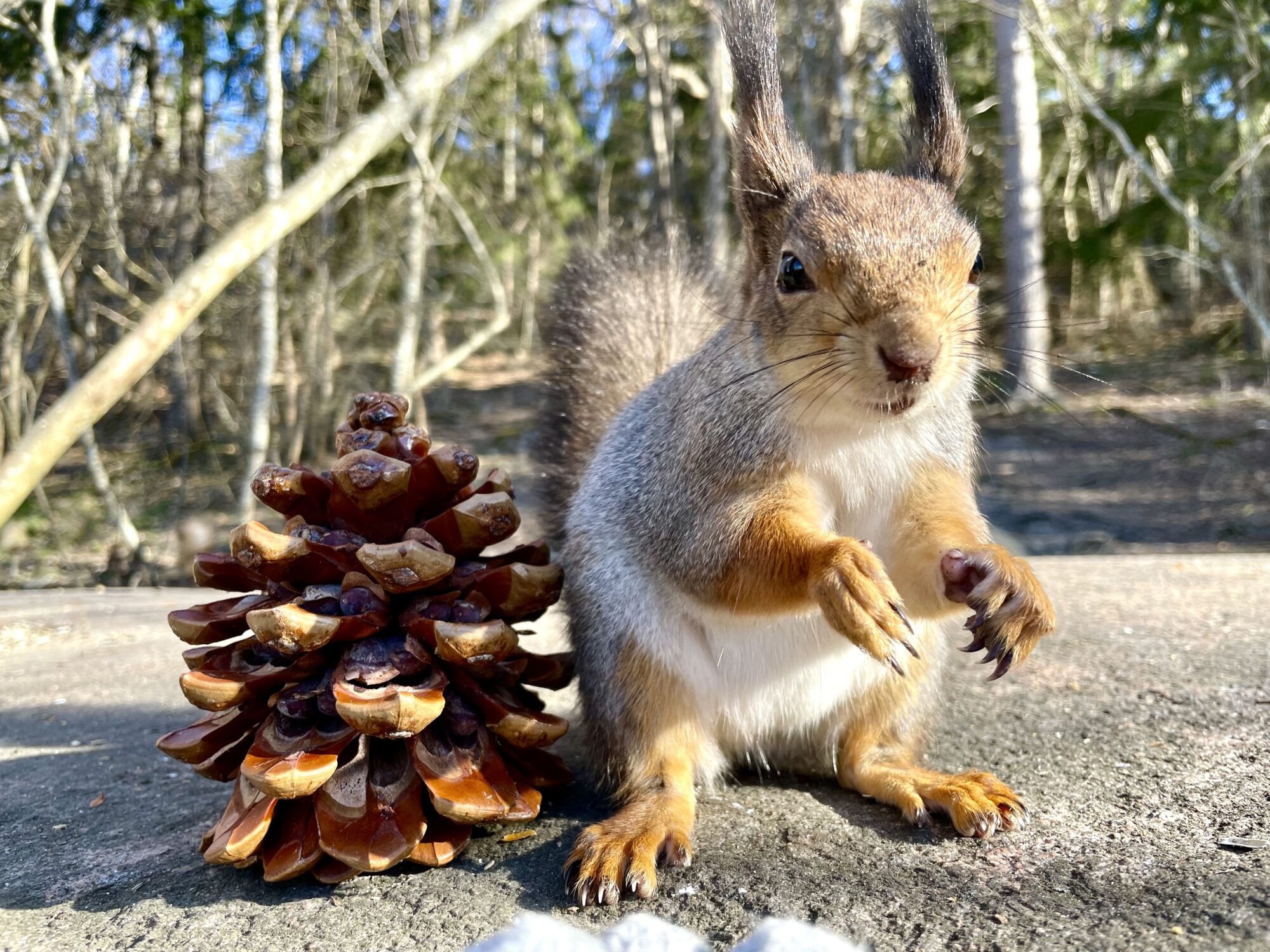 Valokuvaaja: Juhani Peltonen