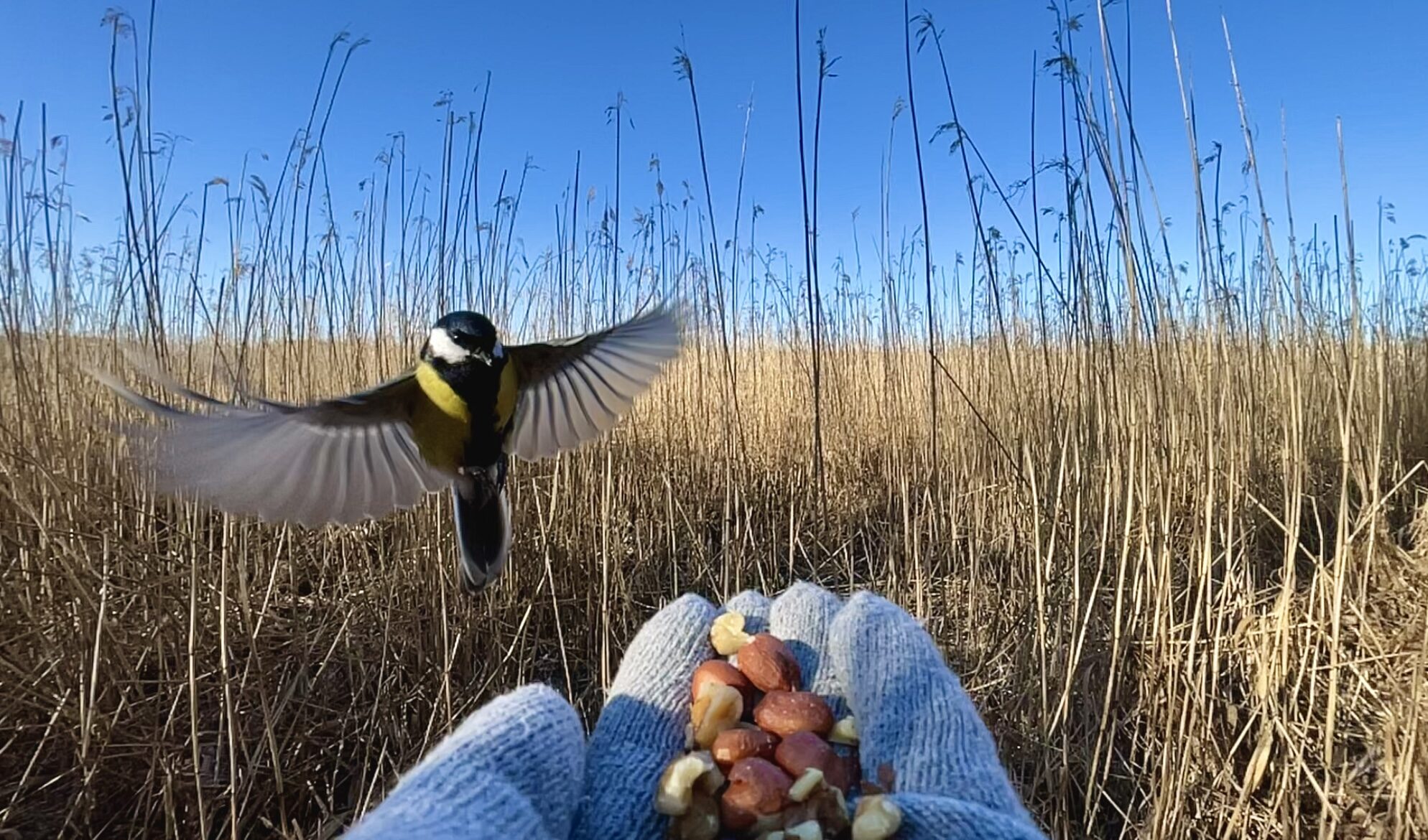 Valokuvaaja: Juhani Peltonen