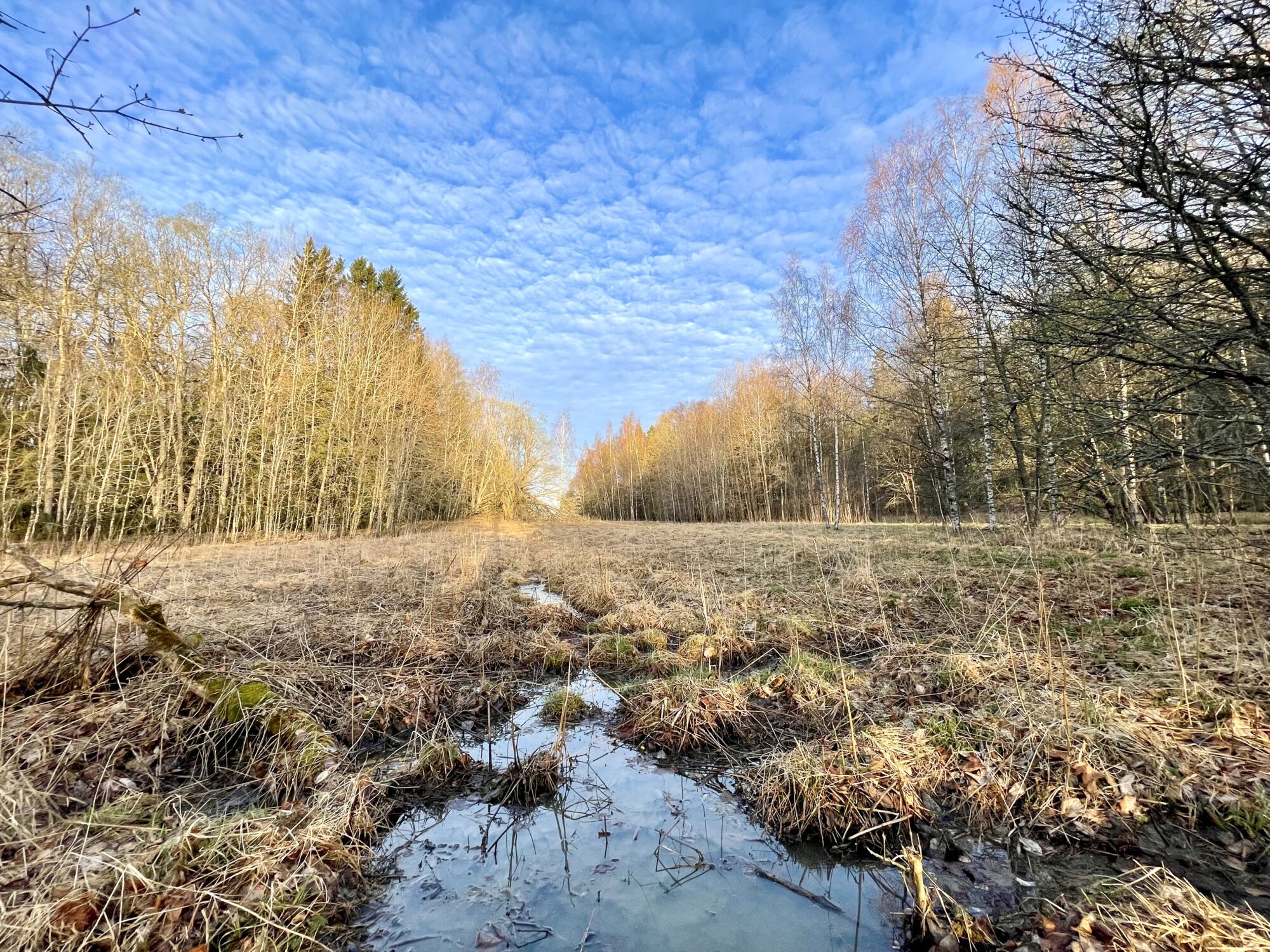 Valokuvaaja: Juhani Peltonen