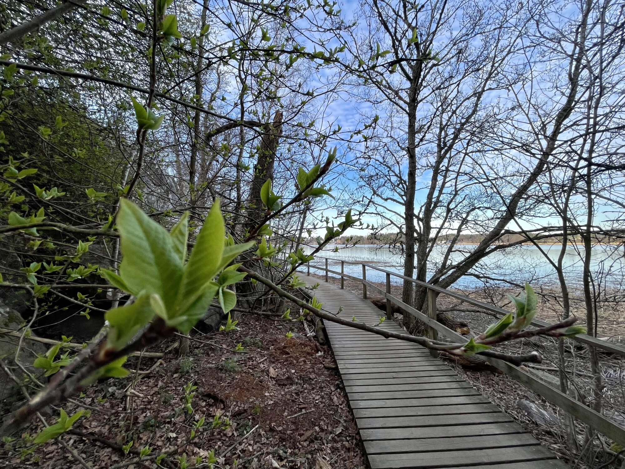 Valokuvaaja: Juhani Peltonen