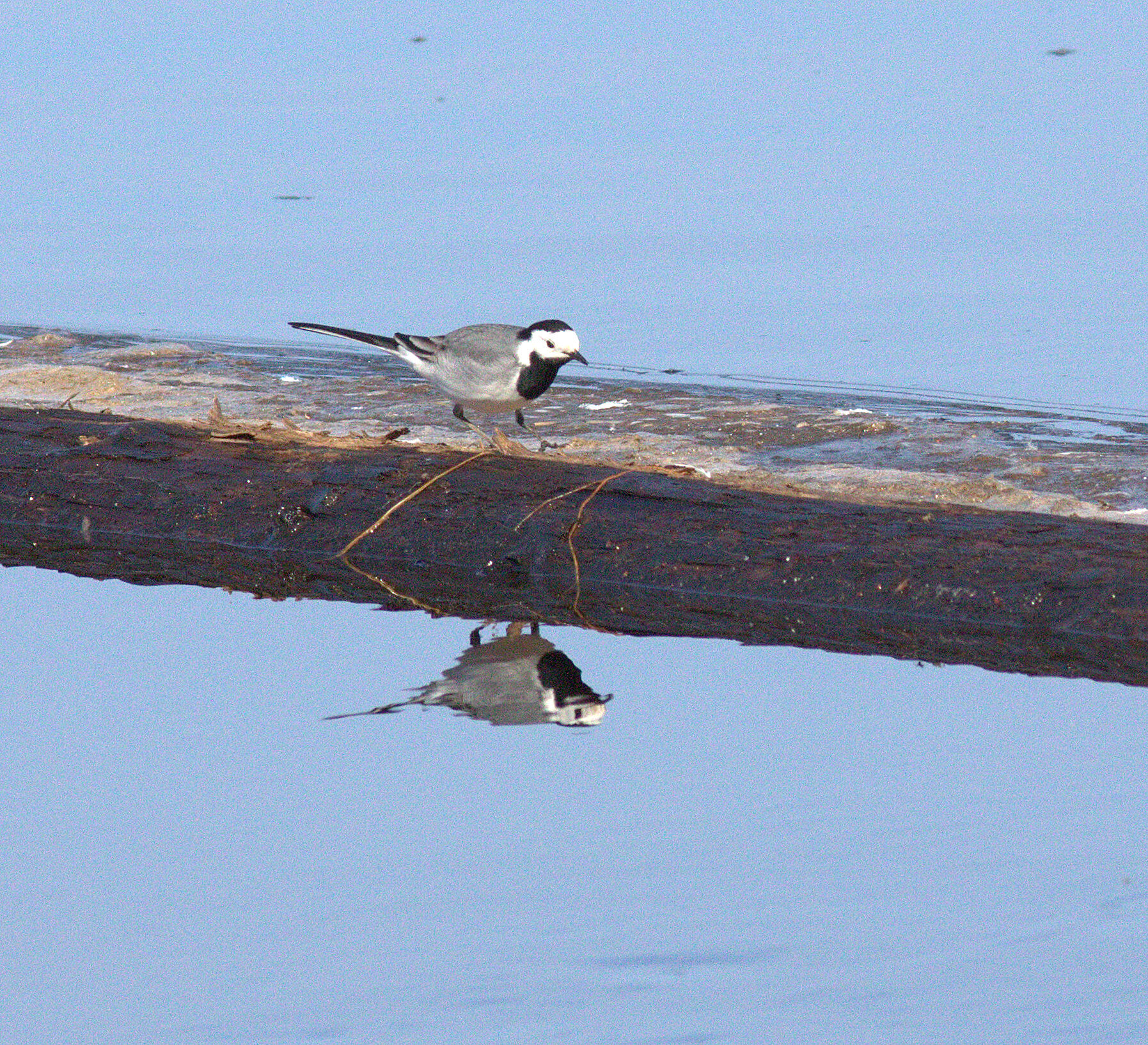 Valokuvaaja: Tapio Keinonen Valokuvaaja: Tapio Keinonen