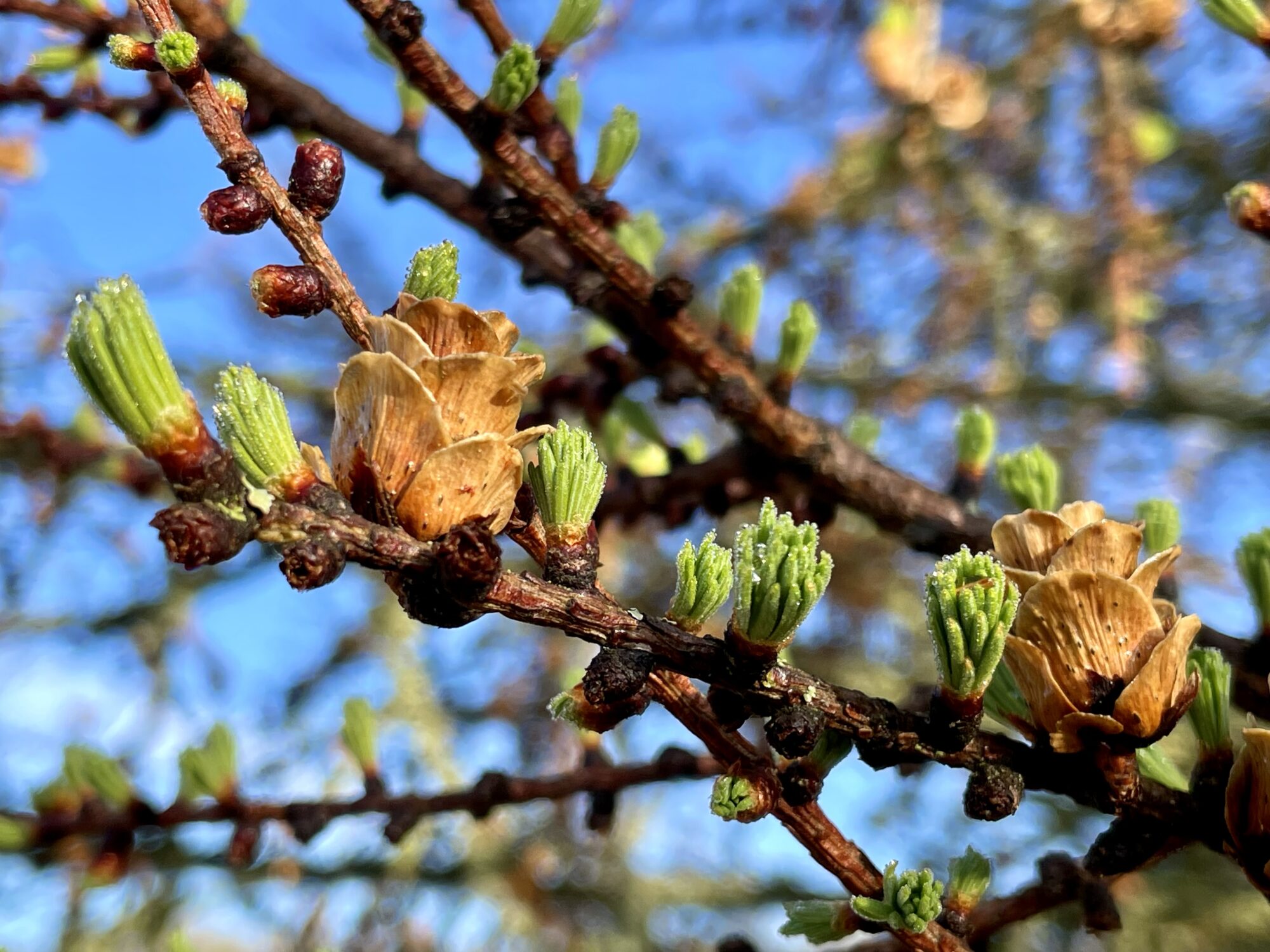 Valokuvaaja: Juhani Peltonen