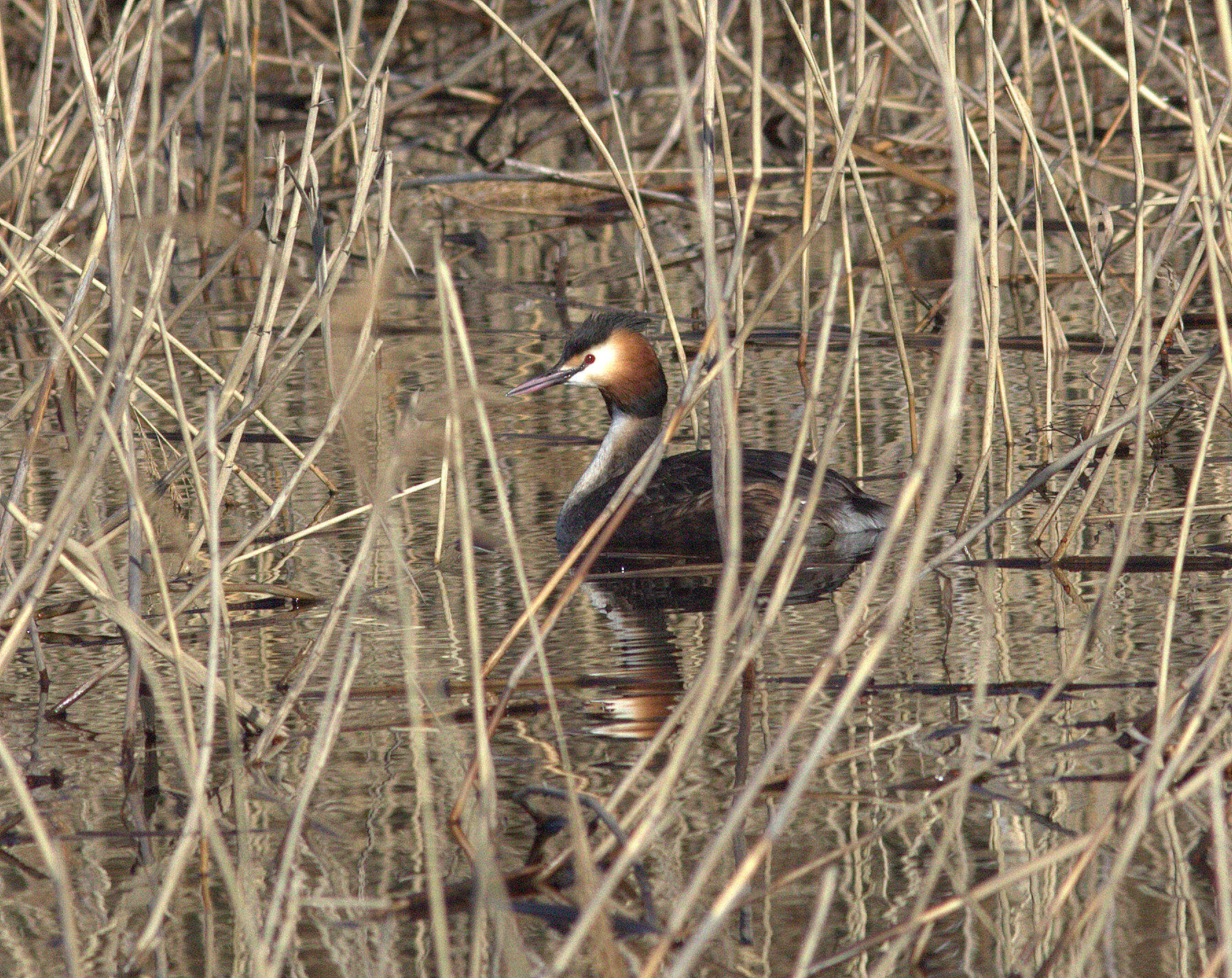 Valokuvaaja: Tapio Keinonen