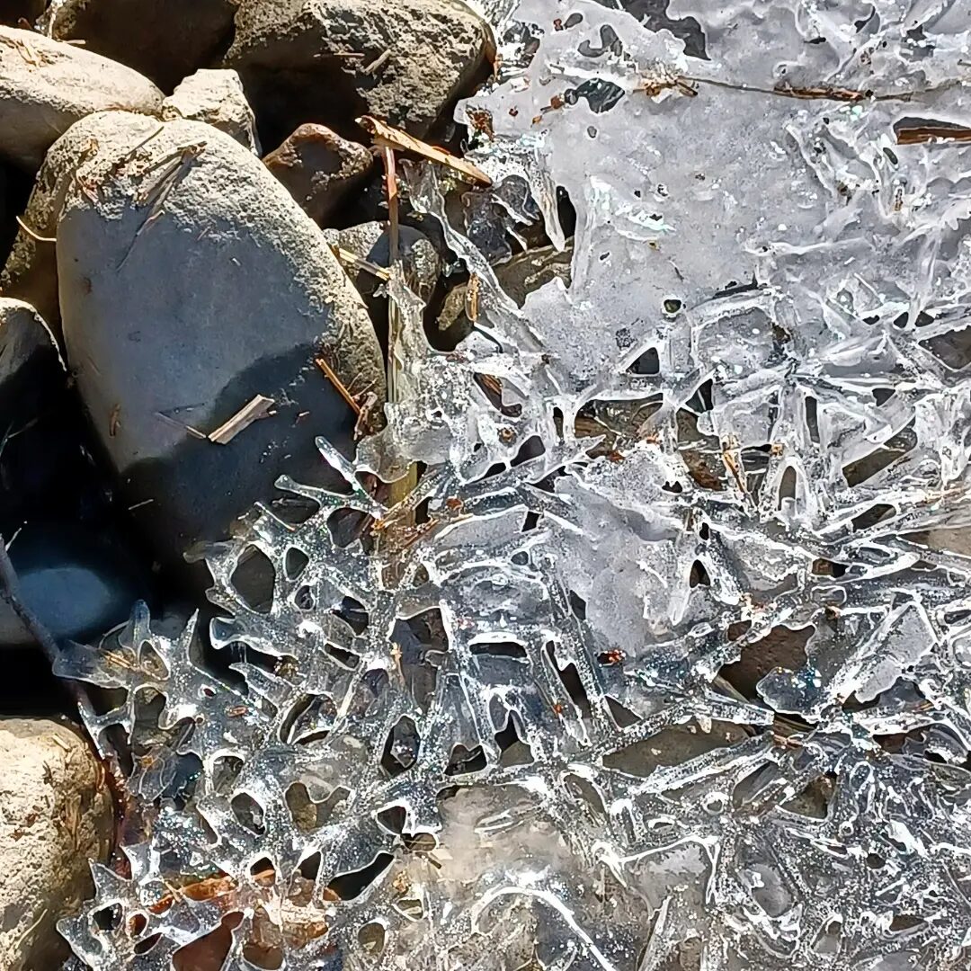 Valokuvaaja: Marketta Kokko