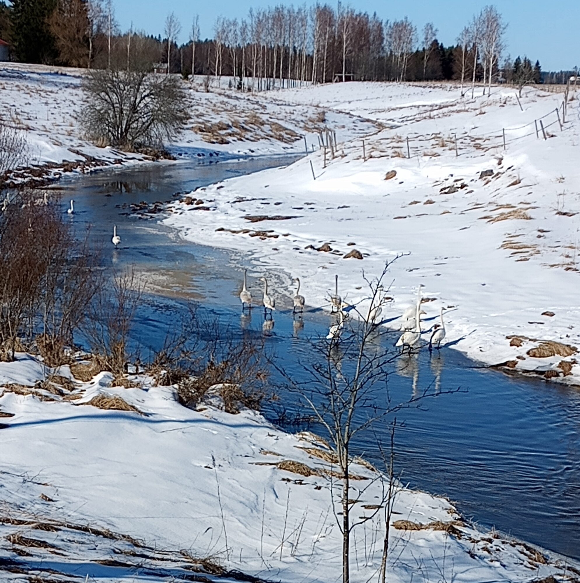 Valokuvaaja: Heli Lehtonen