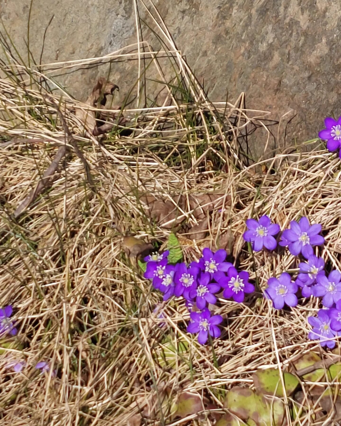 Valokuvaaja: Tuula Johansson