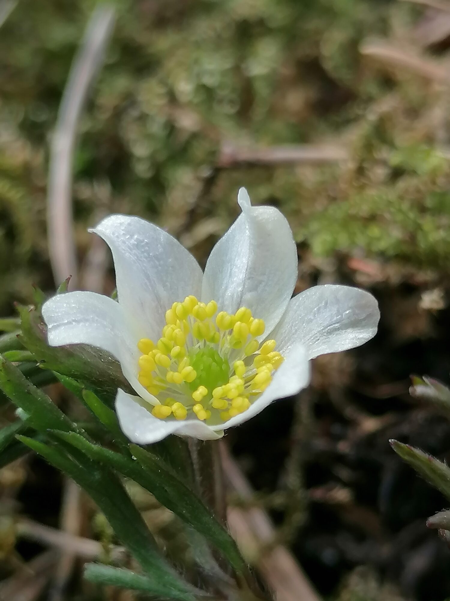 Valokuvaaja: Riitta Marjamäki