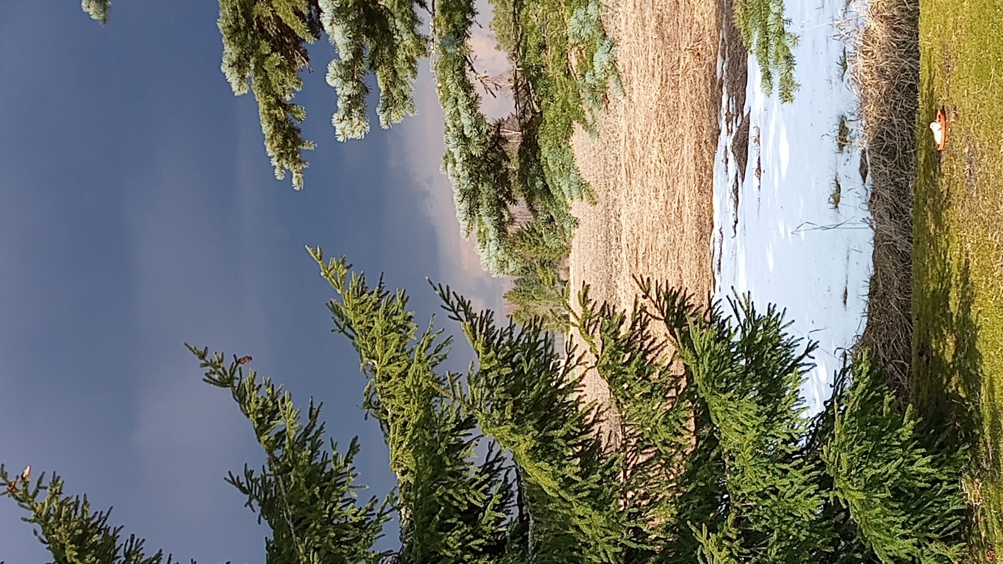 Valokuvaaja: Heli Lehtonen Valokuvaaja: Heli Lehtonen