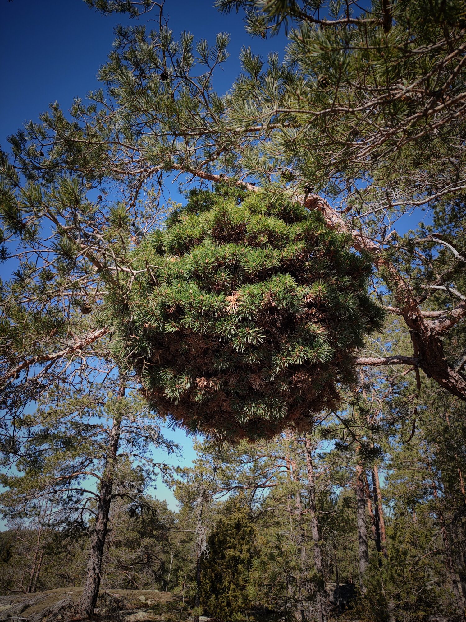 Valokuvaaja: Markus Sipiläinen