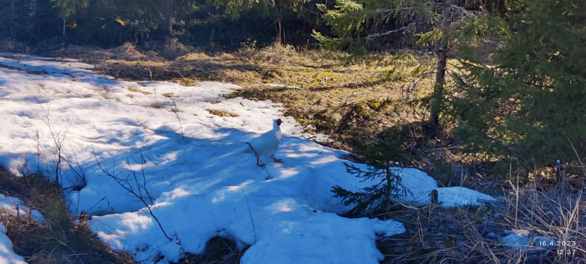 Valokuvaaja: Pekka Riihimäki