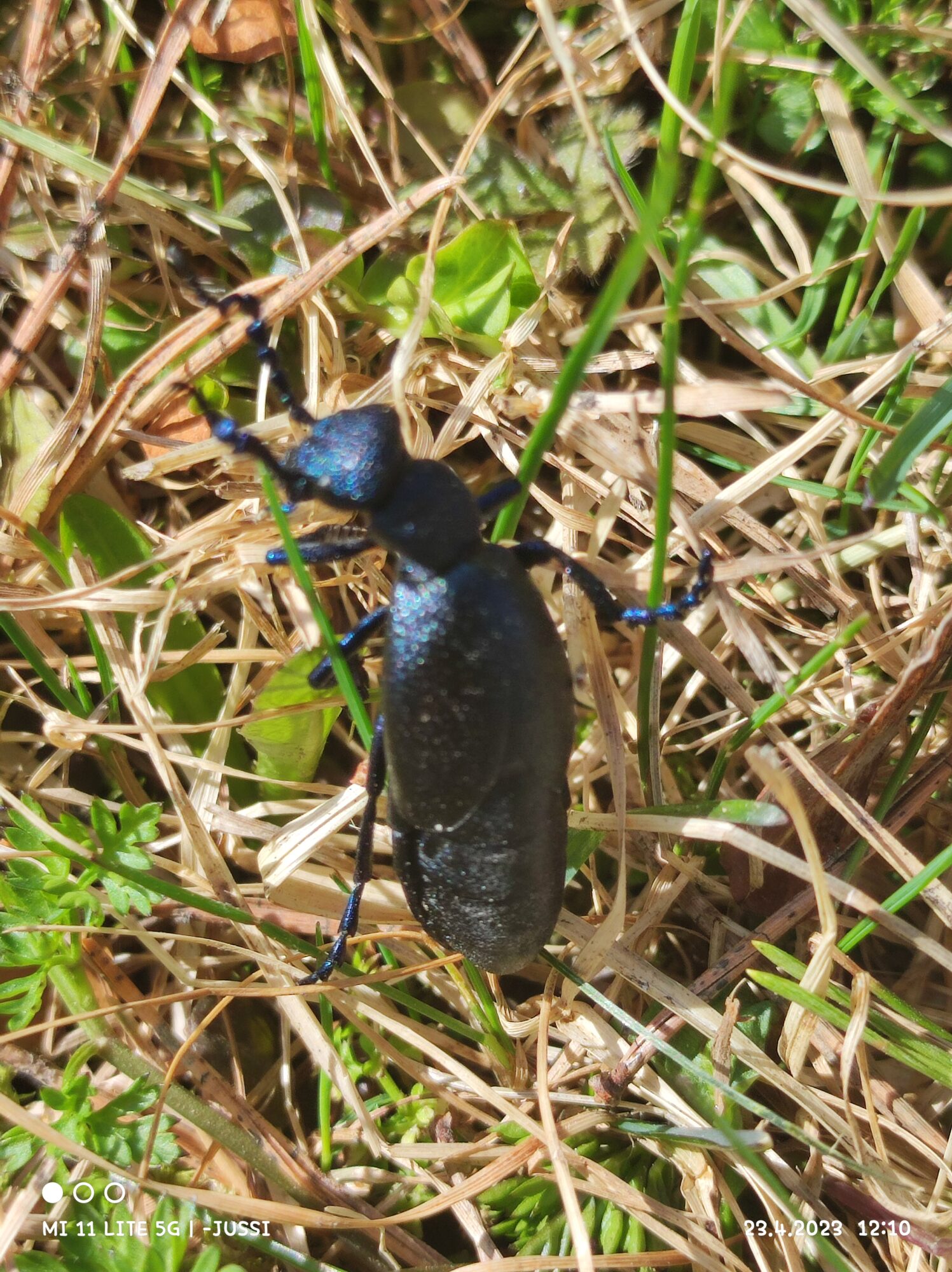 Valokuvaaja: Eloranta Juhani