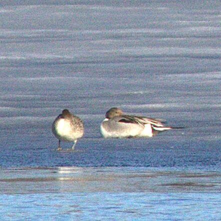 Valokuvaaja: Tapio Keinonen