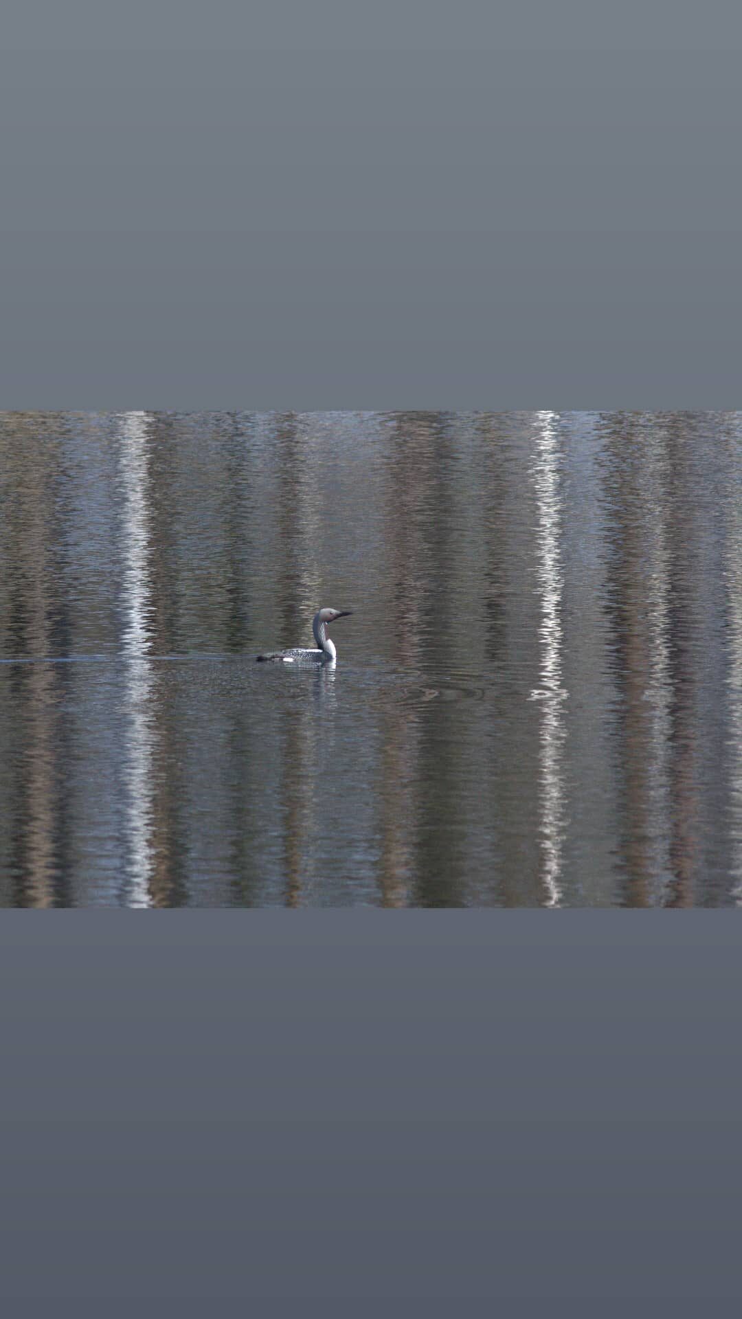 Valokuvaaja: Tapio Keinonen Valokuvaaja: Tapio Keinonen