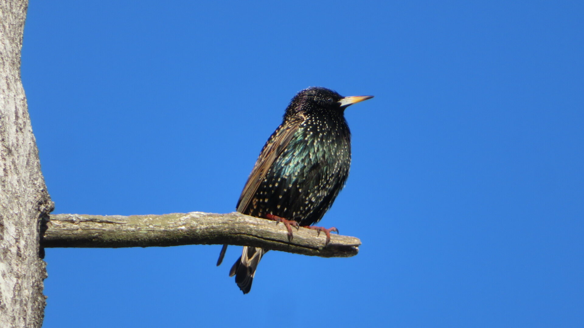 Valokuvaaja: Risto Kangassalo
