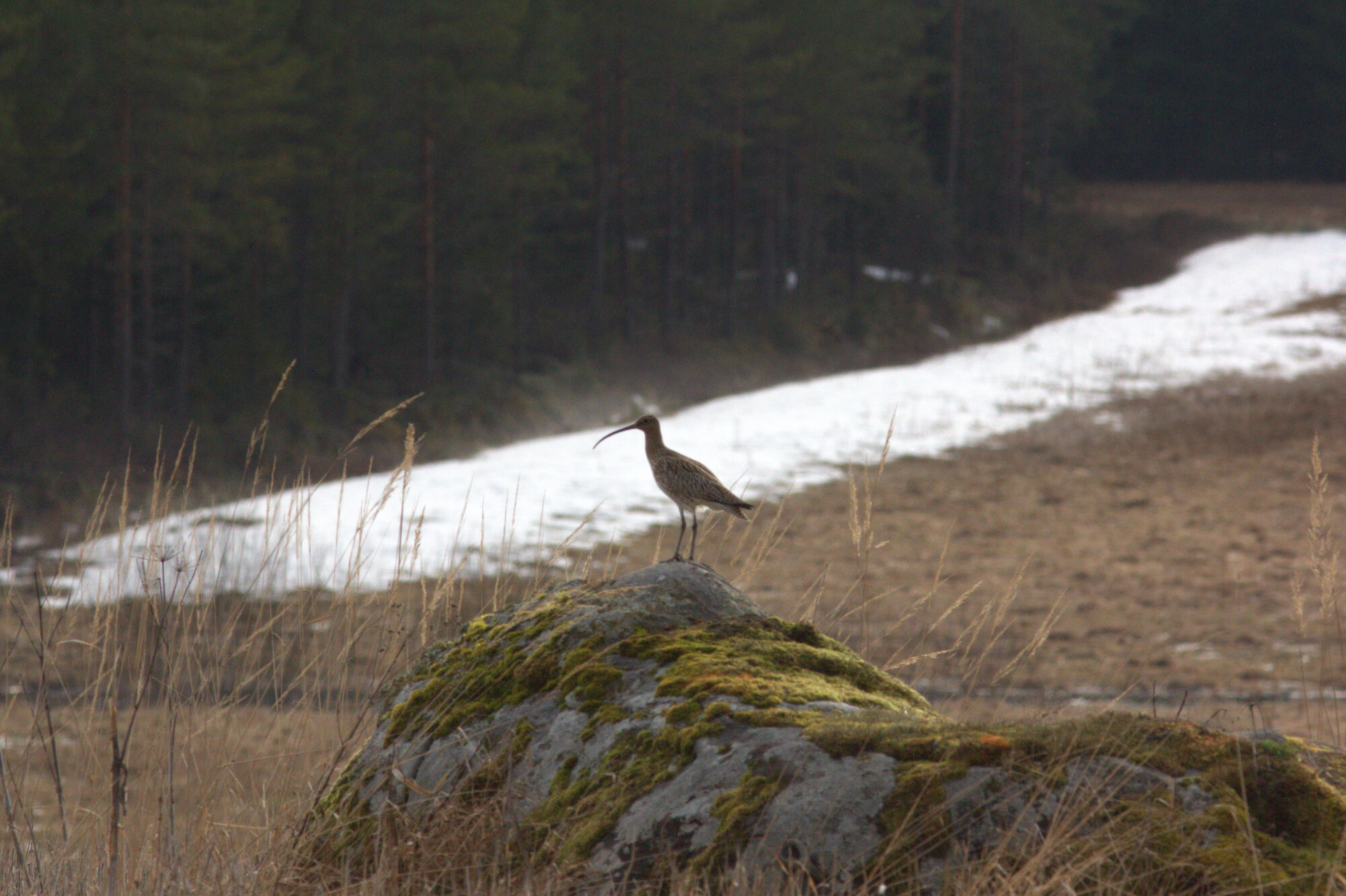 Valokuvaaja: tapio keinonen Valokuvaaja: tapio keinonen