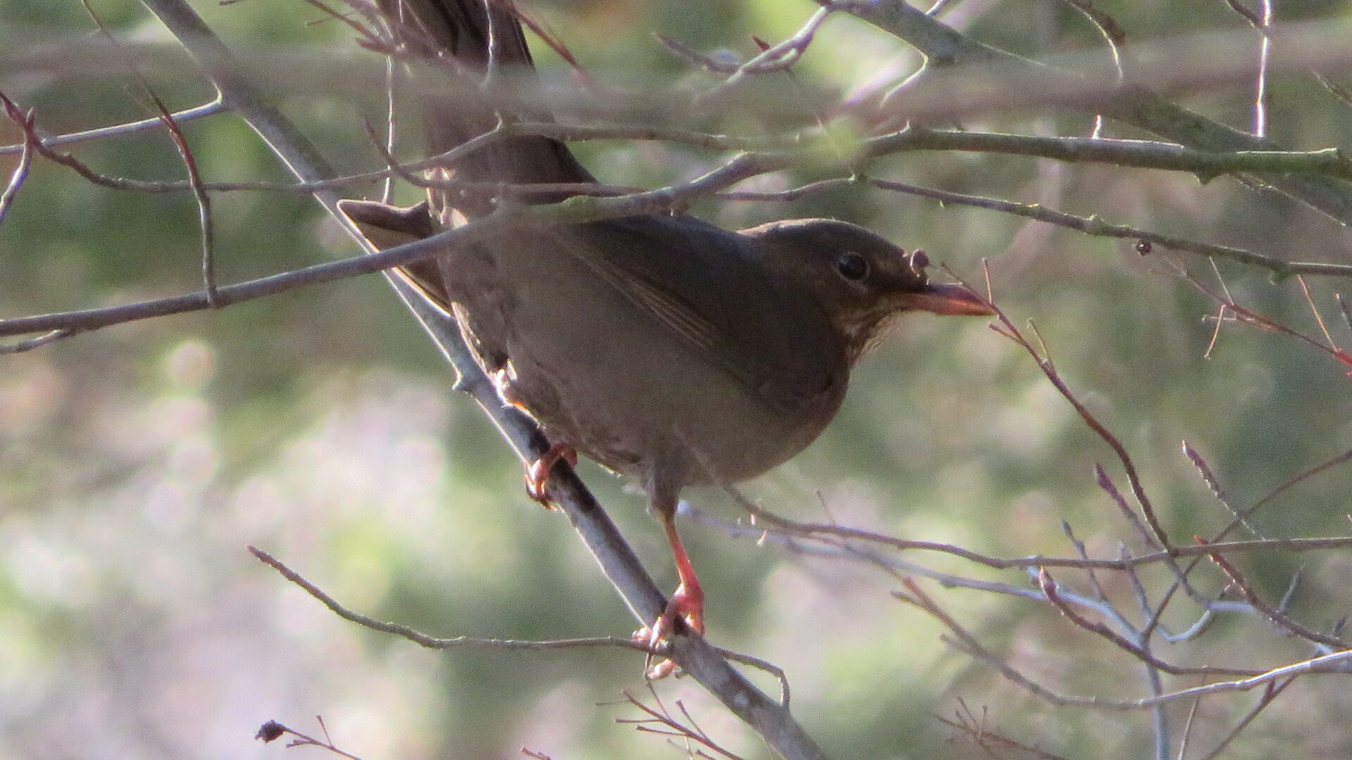 Valokuvaaja: Risto Kangassalo