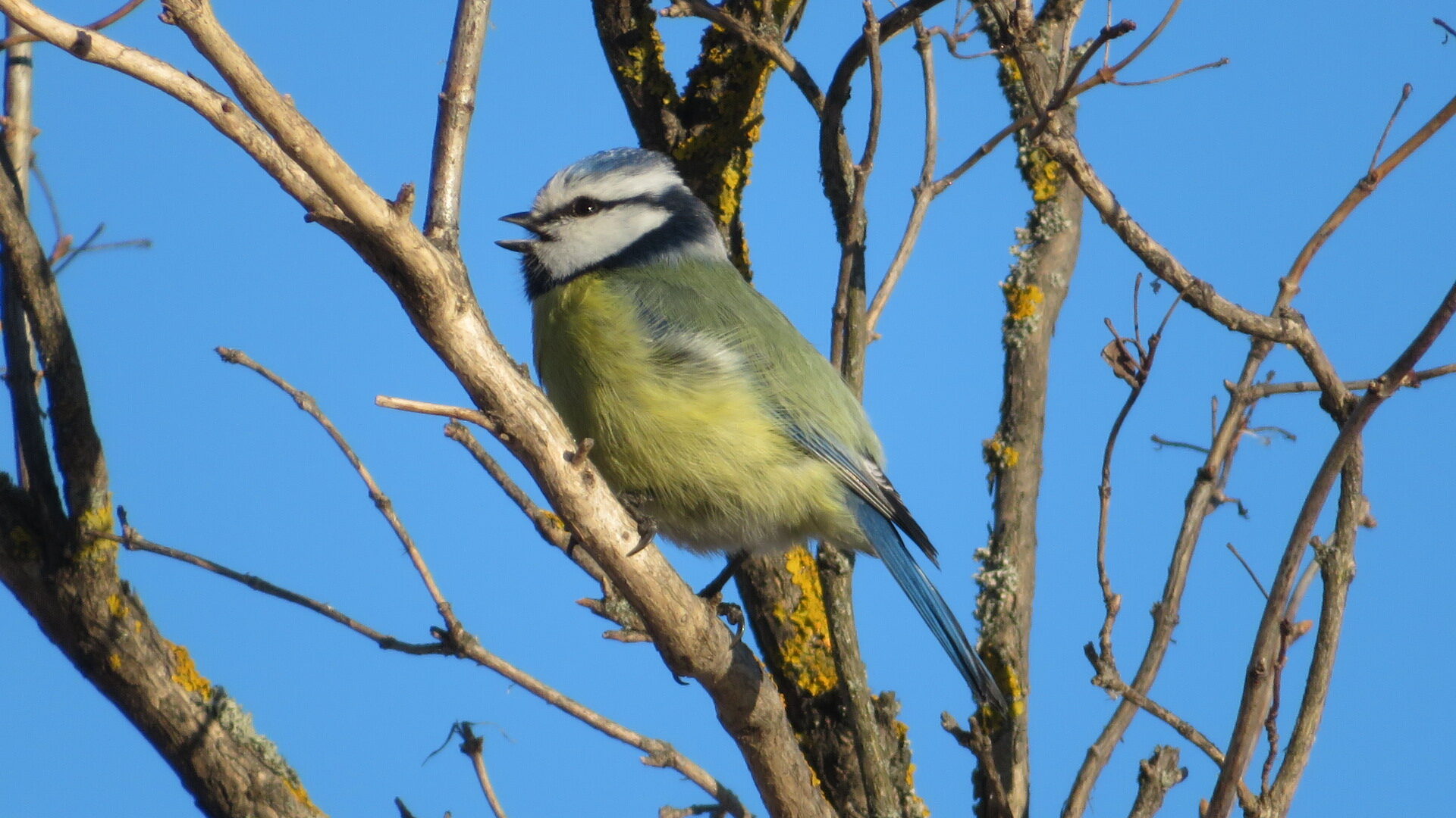 Valokuvaaja: Risto Kangassalo