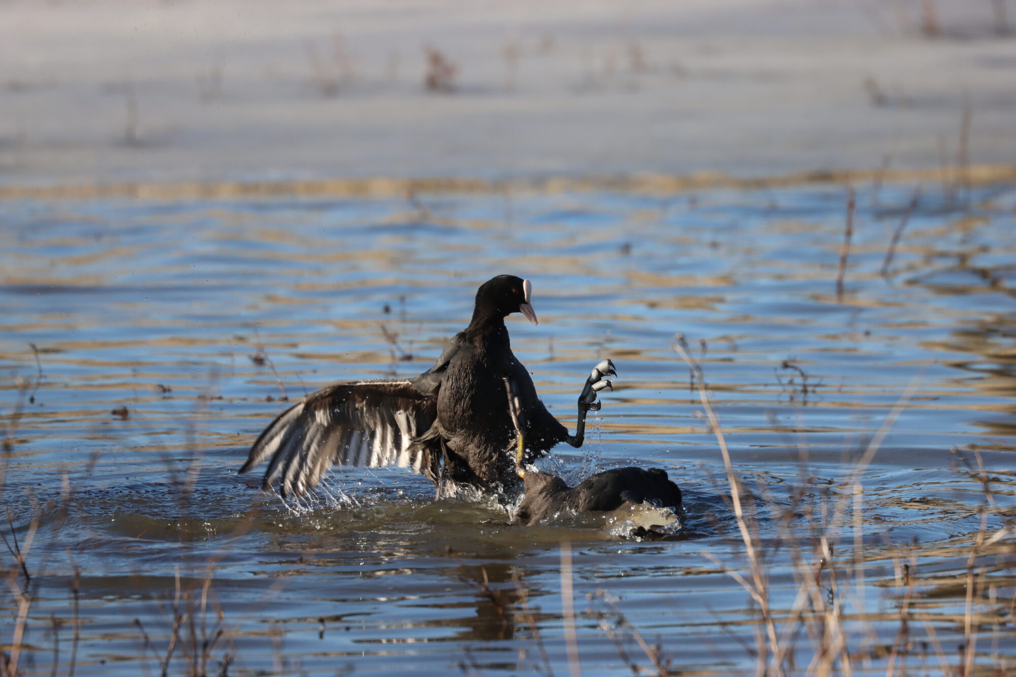 Valokuvaaja: Susanna Hannula
