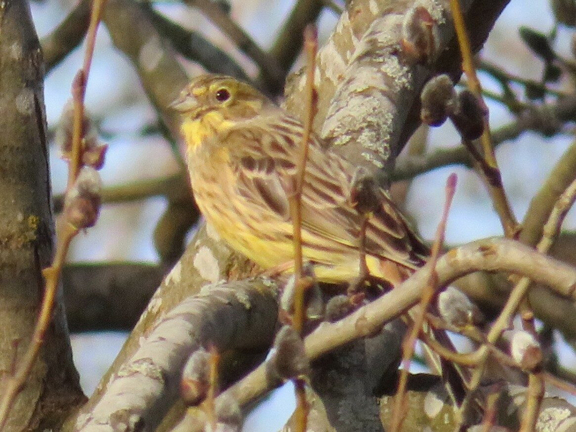Valokuvaaja: Risto Kangassalo