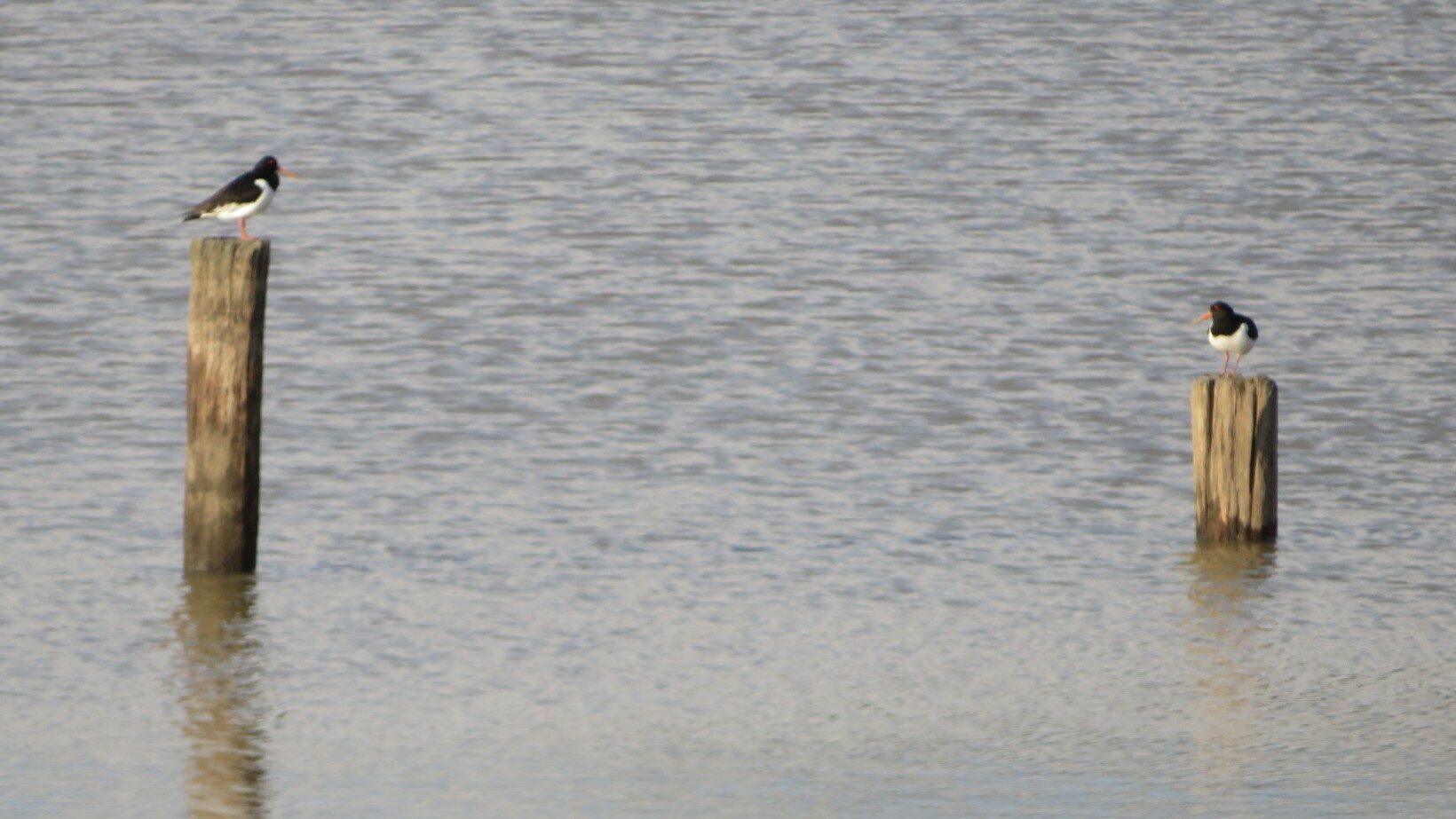 Valokuvaaja: Risto Kangassalo