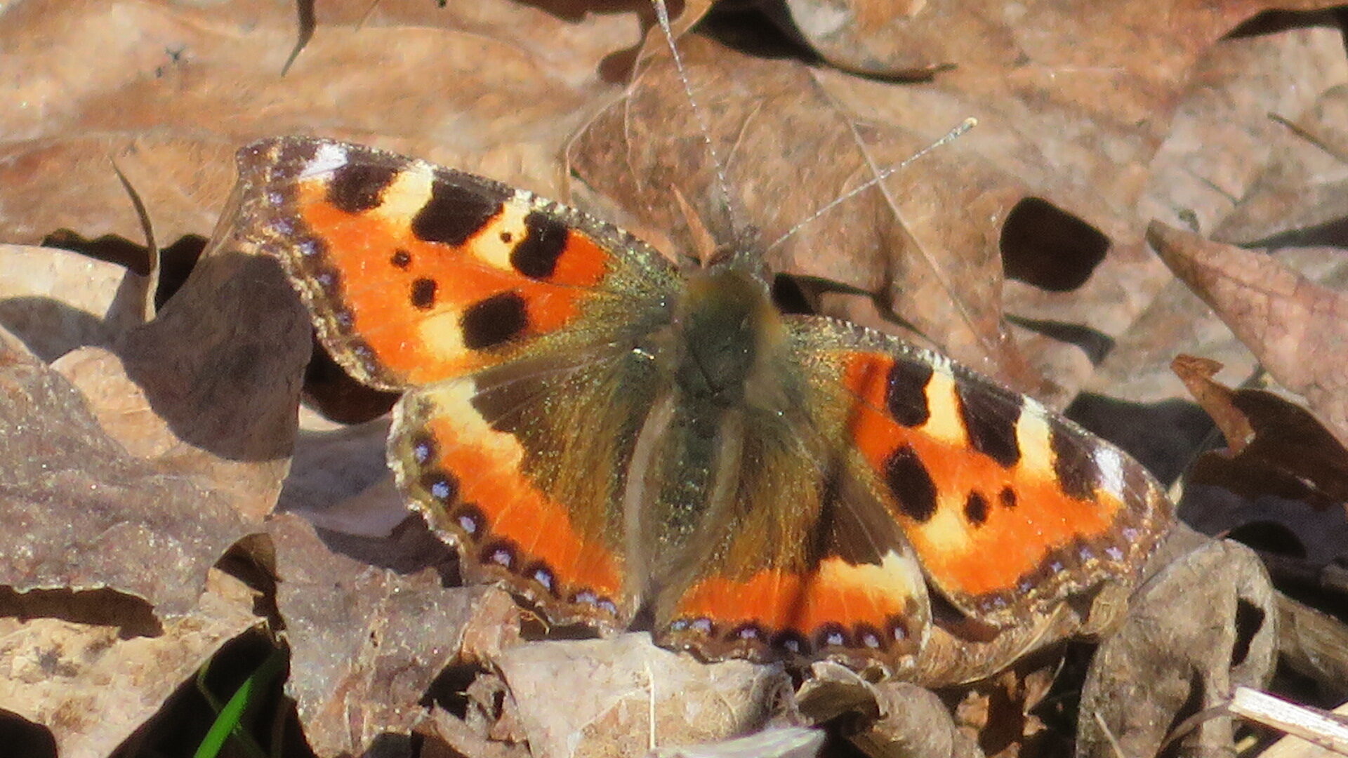Valokuvaaja: Risto Kangassalo