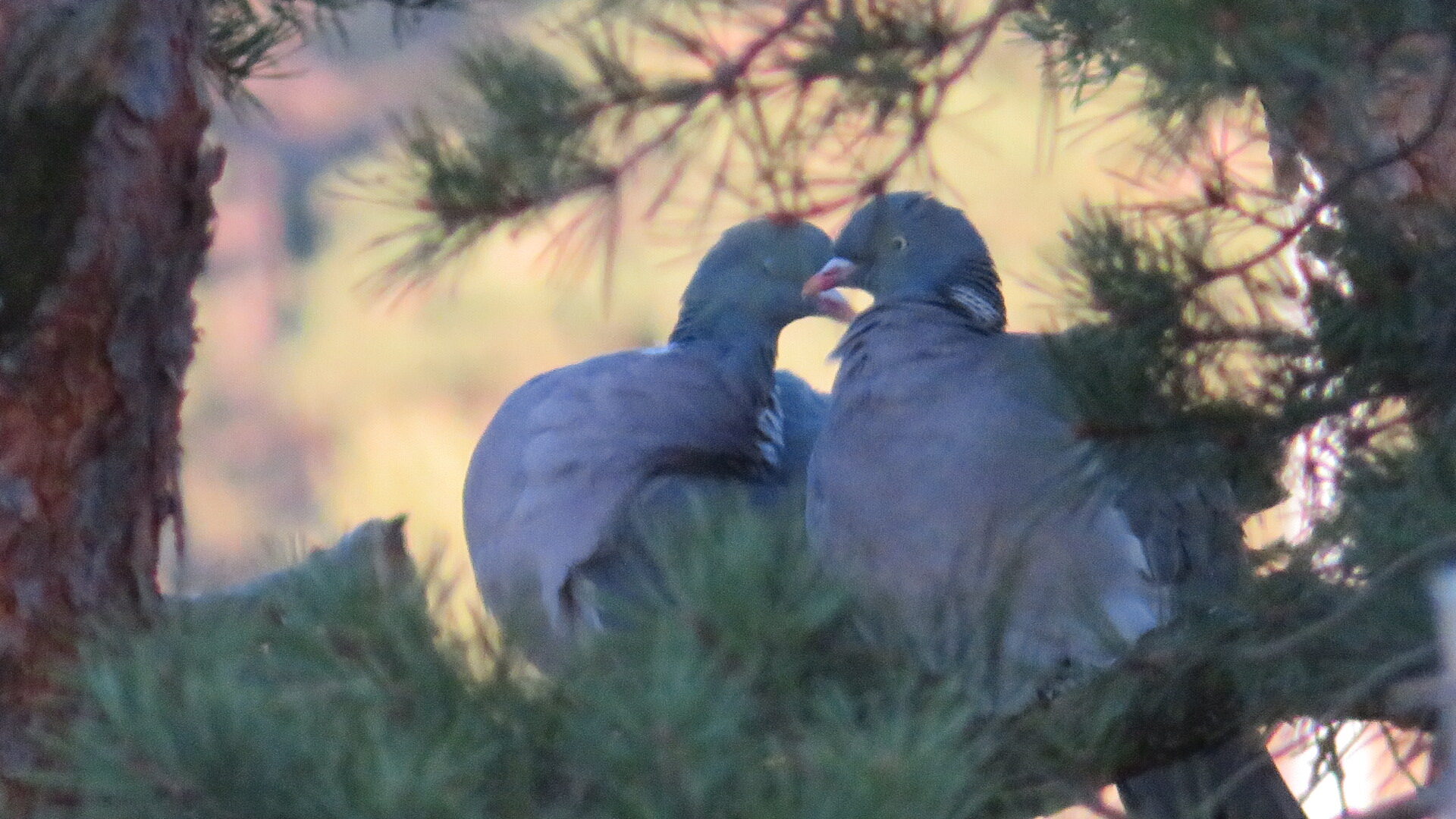 Valokuvaaja: Risto Kangassalo