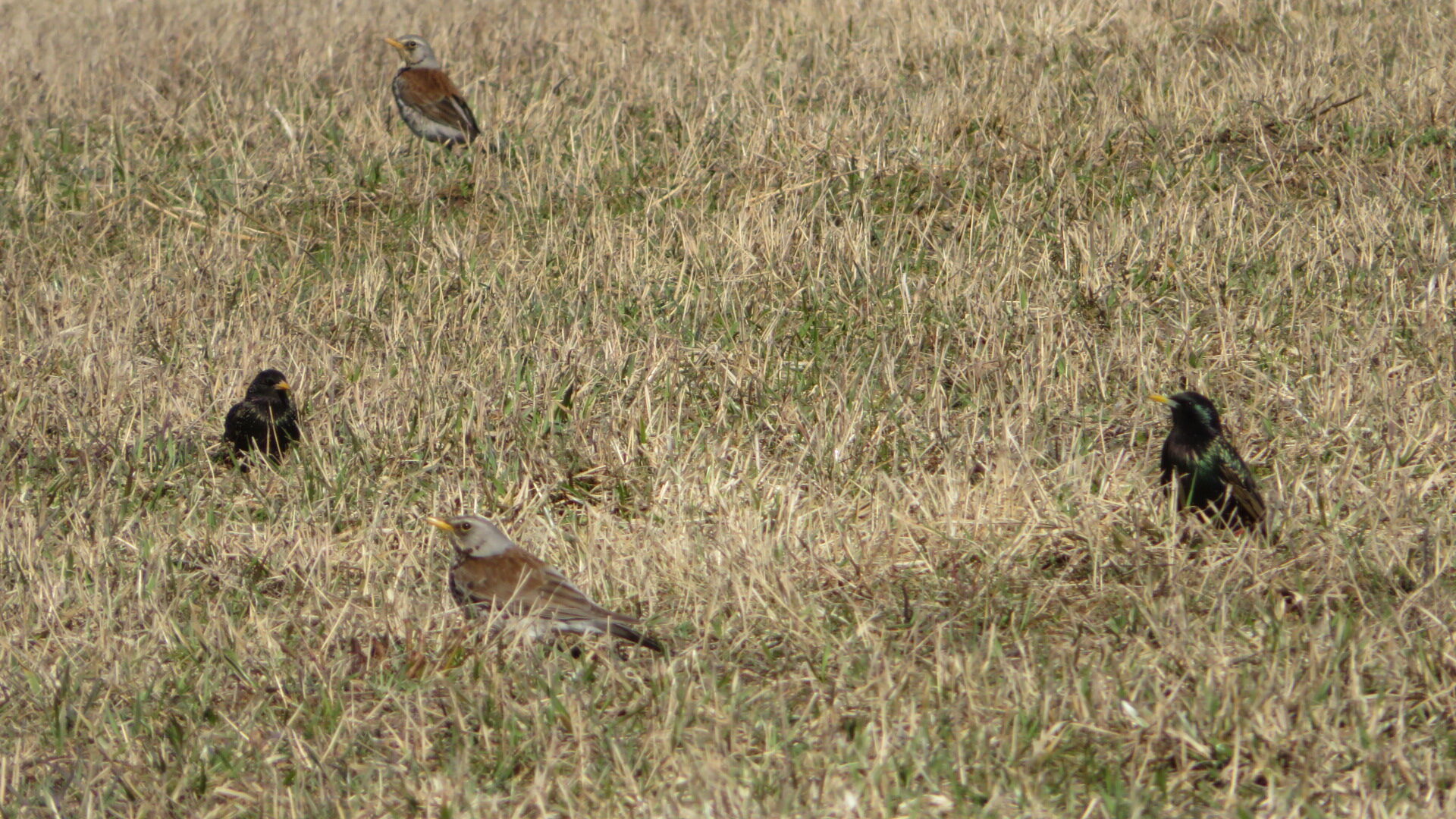 Valokuvaaja: Risto Kangassalo