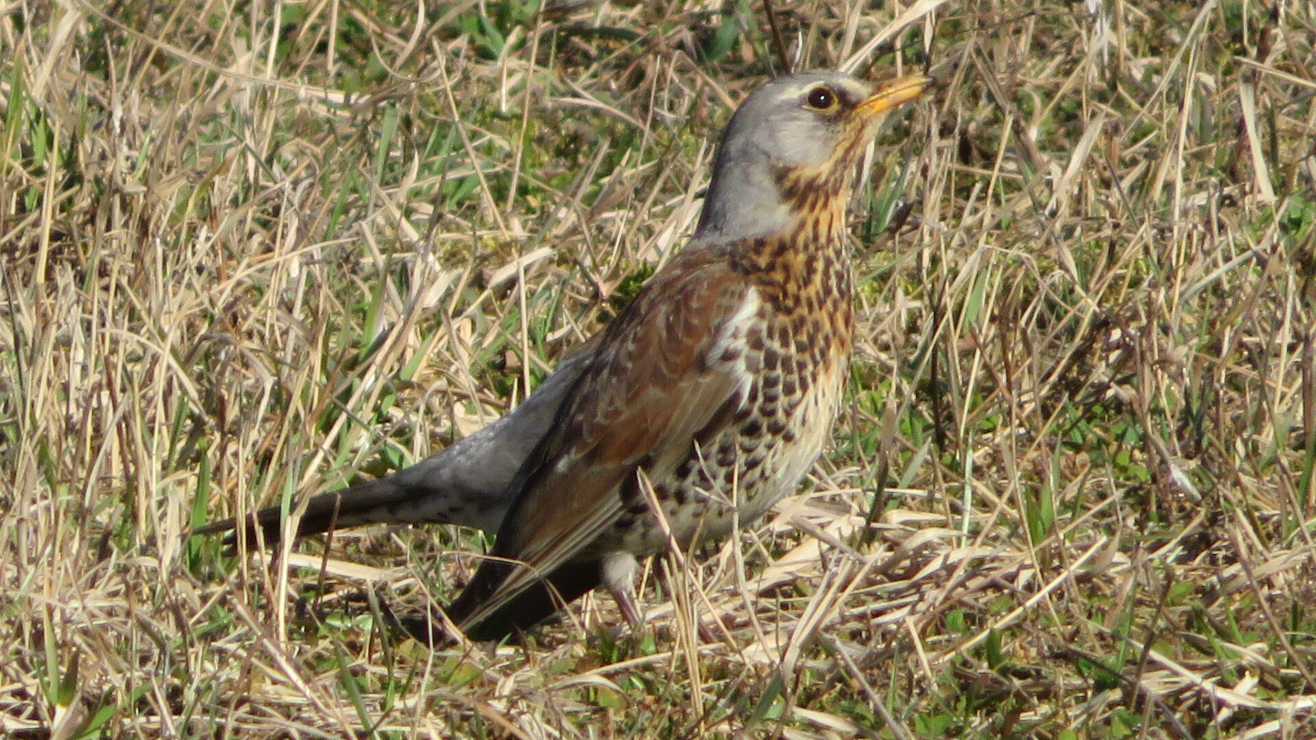 Valokuvaaja: Risto Kangassalo