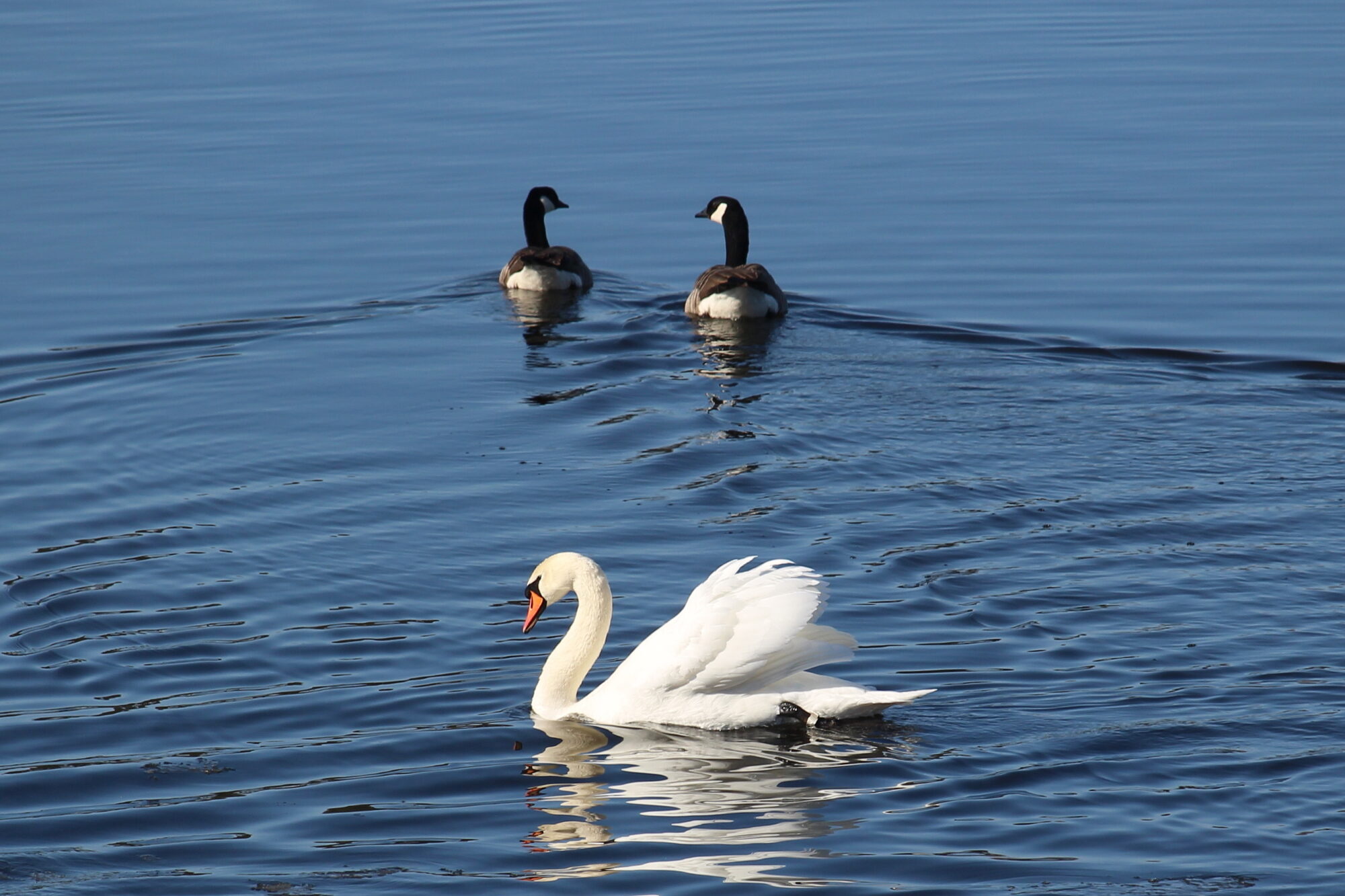 Valokuvaaja: Kirsi-Marja Joenpolvi