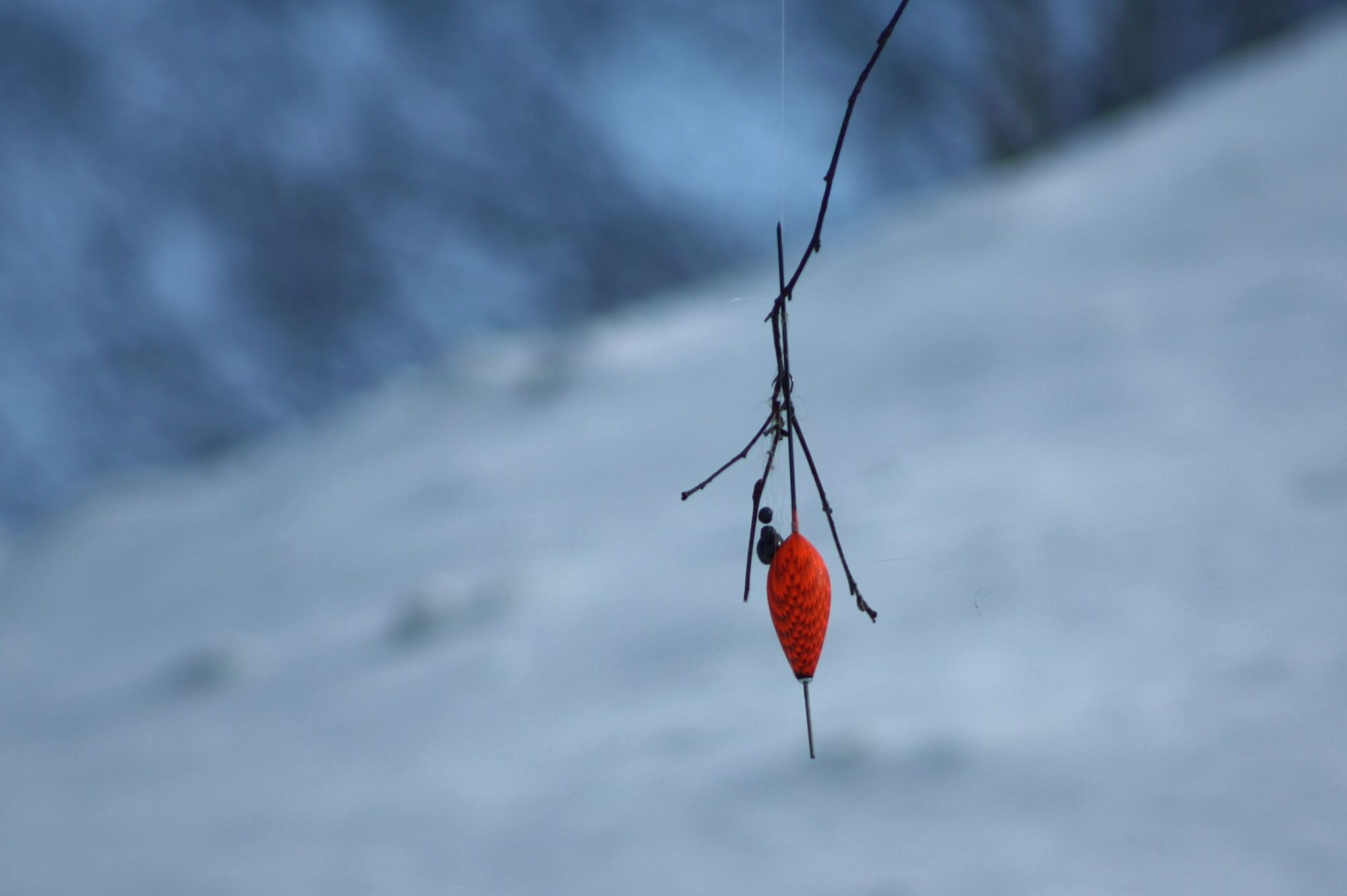 Valokuvaaja: Pirkko Siukonen
