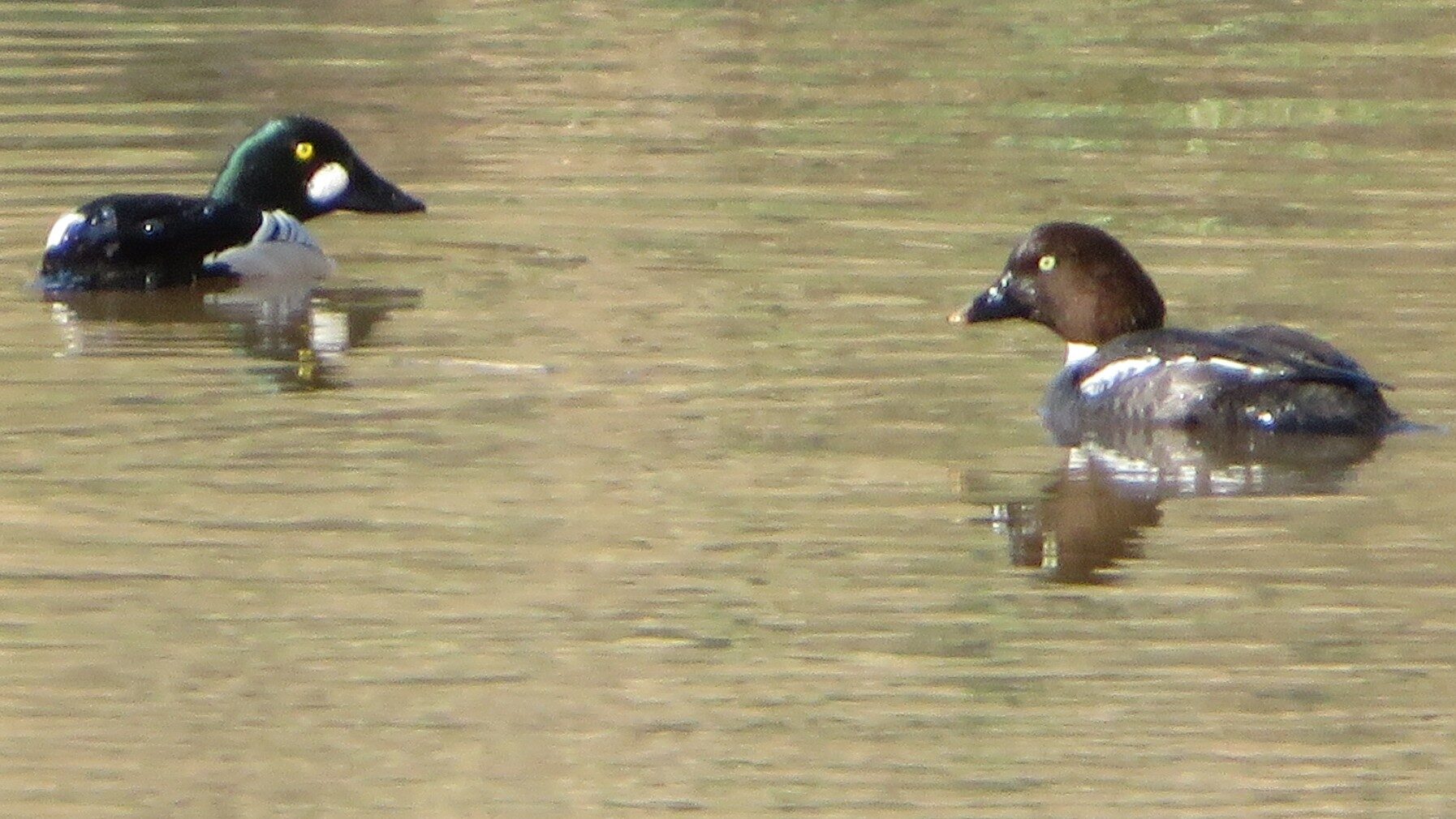 Valokuvaaja: Risto Kangassalo