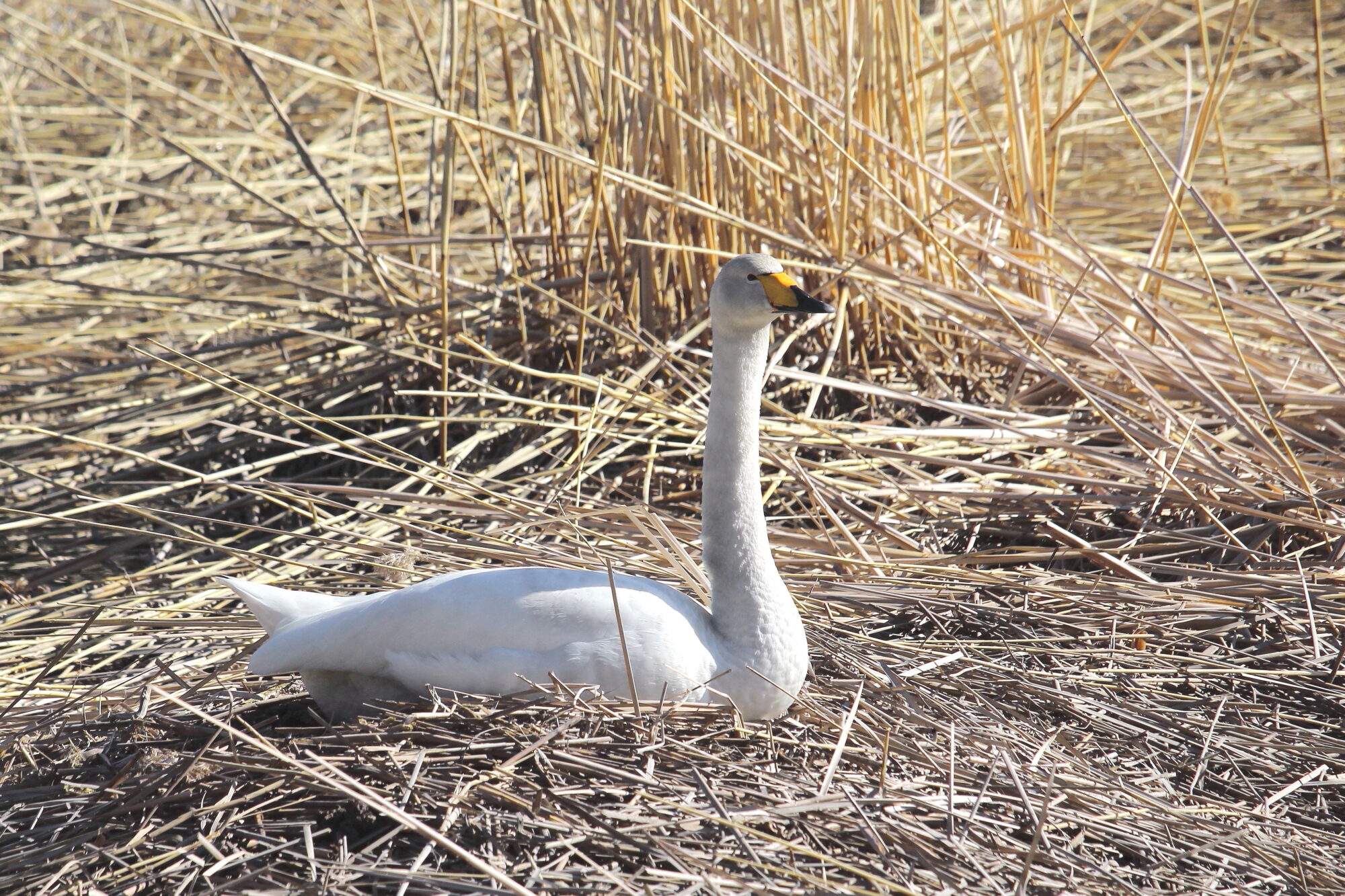 Valokuvaaja: Kirsi-Marja Joenpolvi