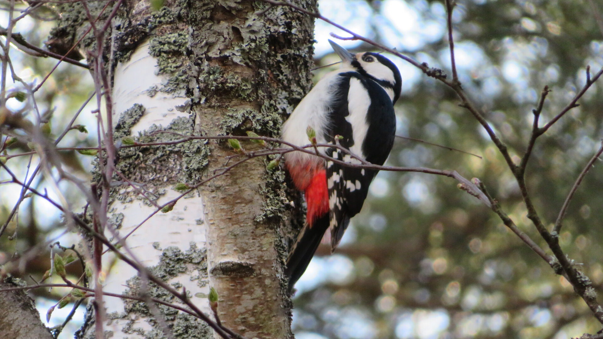 Valokuvaaja: Risto Kangassalo