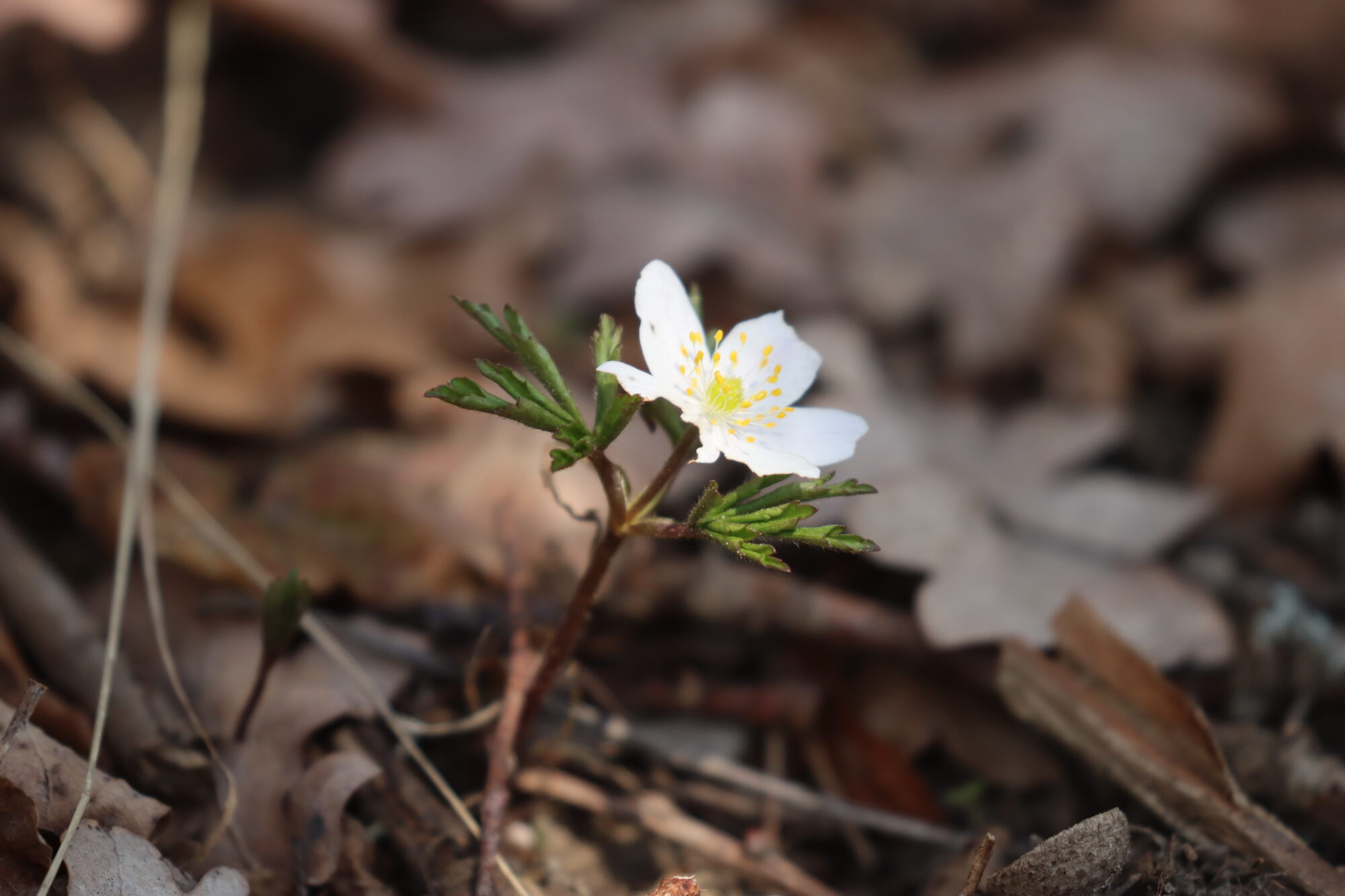 Valokuvaaja: Susanna  Hannula