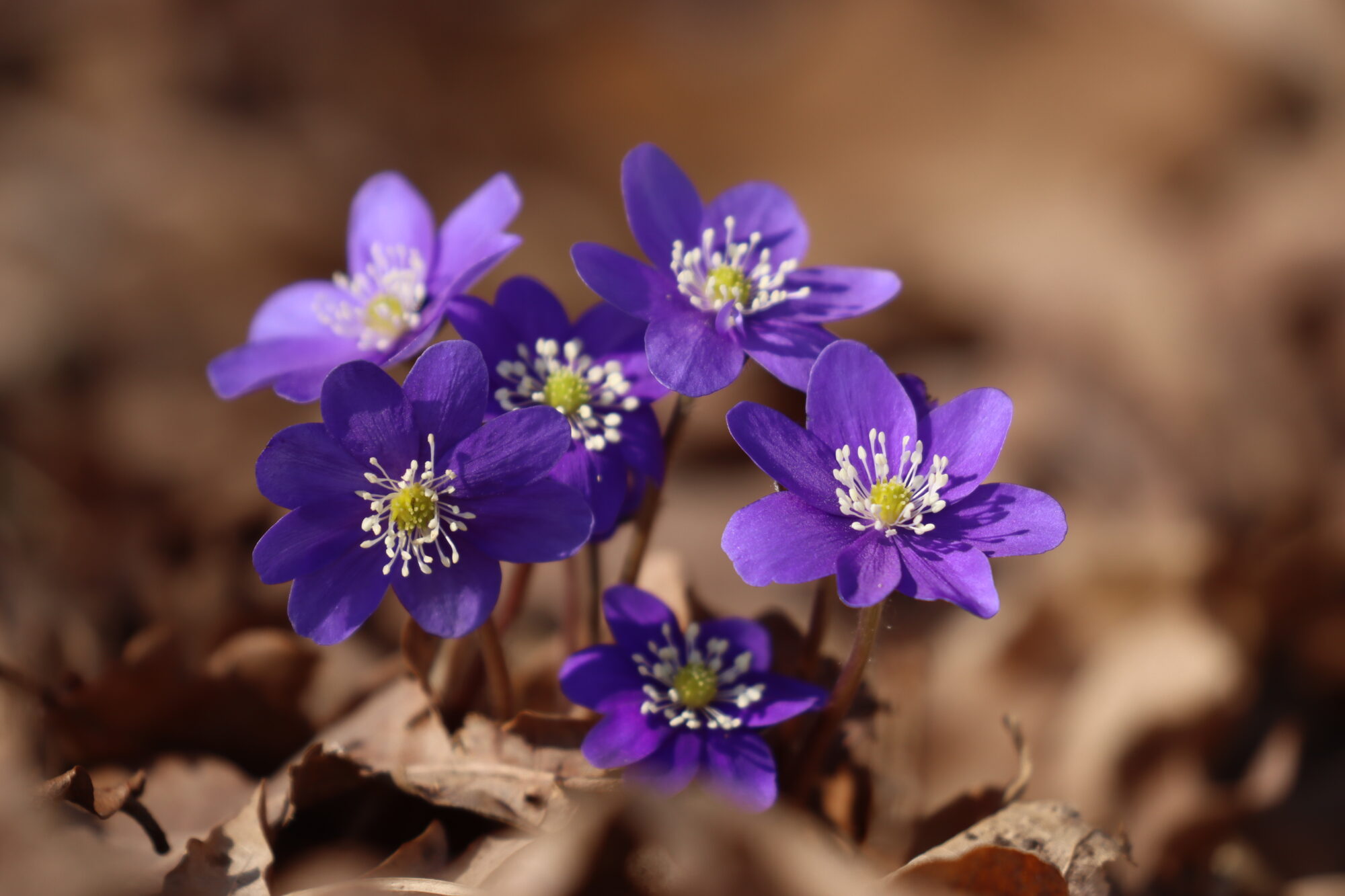 Valokuvaaja: Susanna Hannula Valokuvaaja: Susanna Hannula