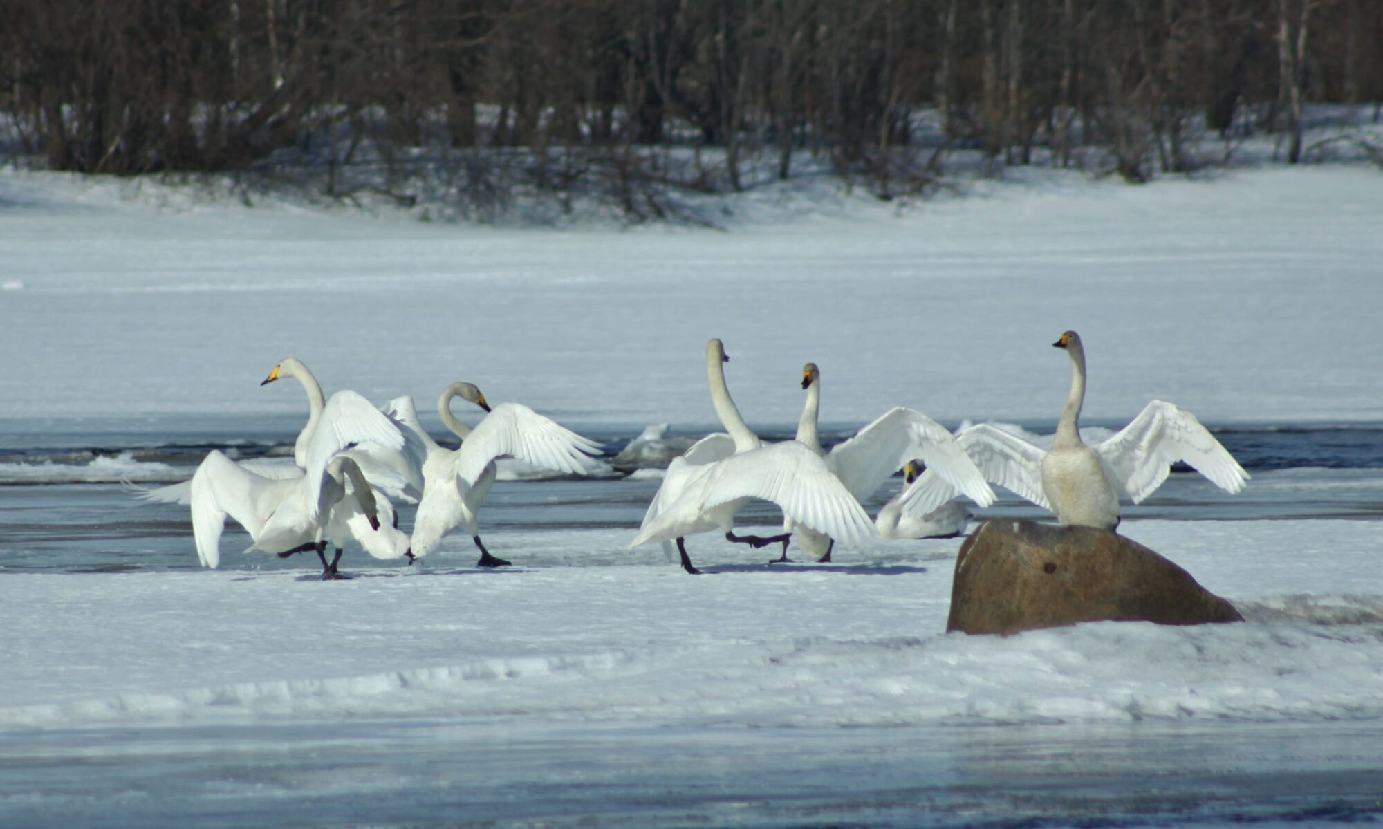 Valokuvaaja: Pirkko Siukonen Valokuvaaja: Pirkko Siukonen