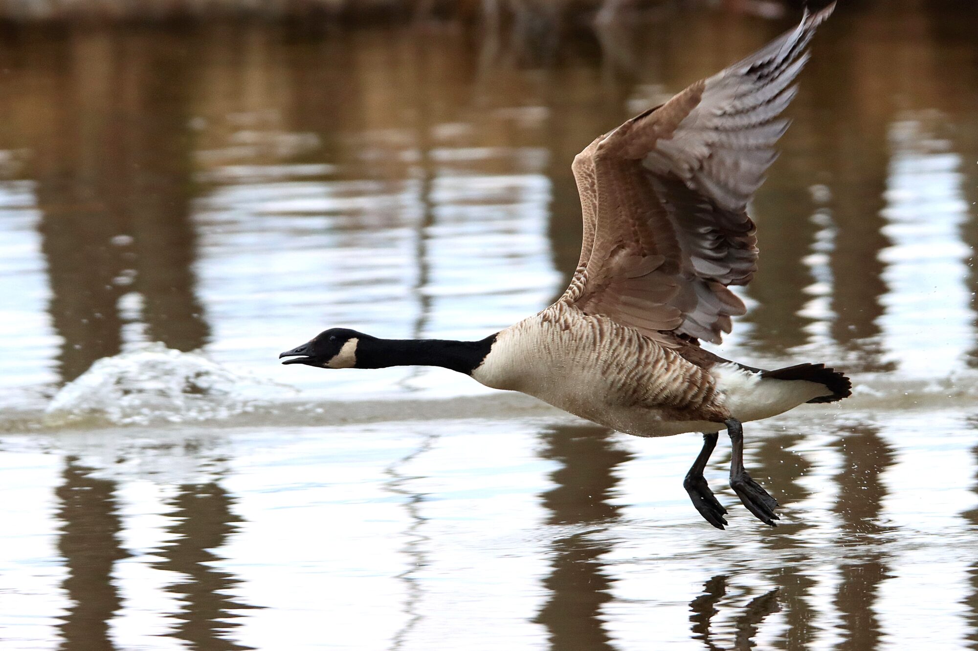 Valokuvaaja: Irja Lehtinen
