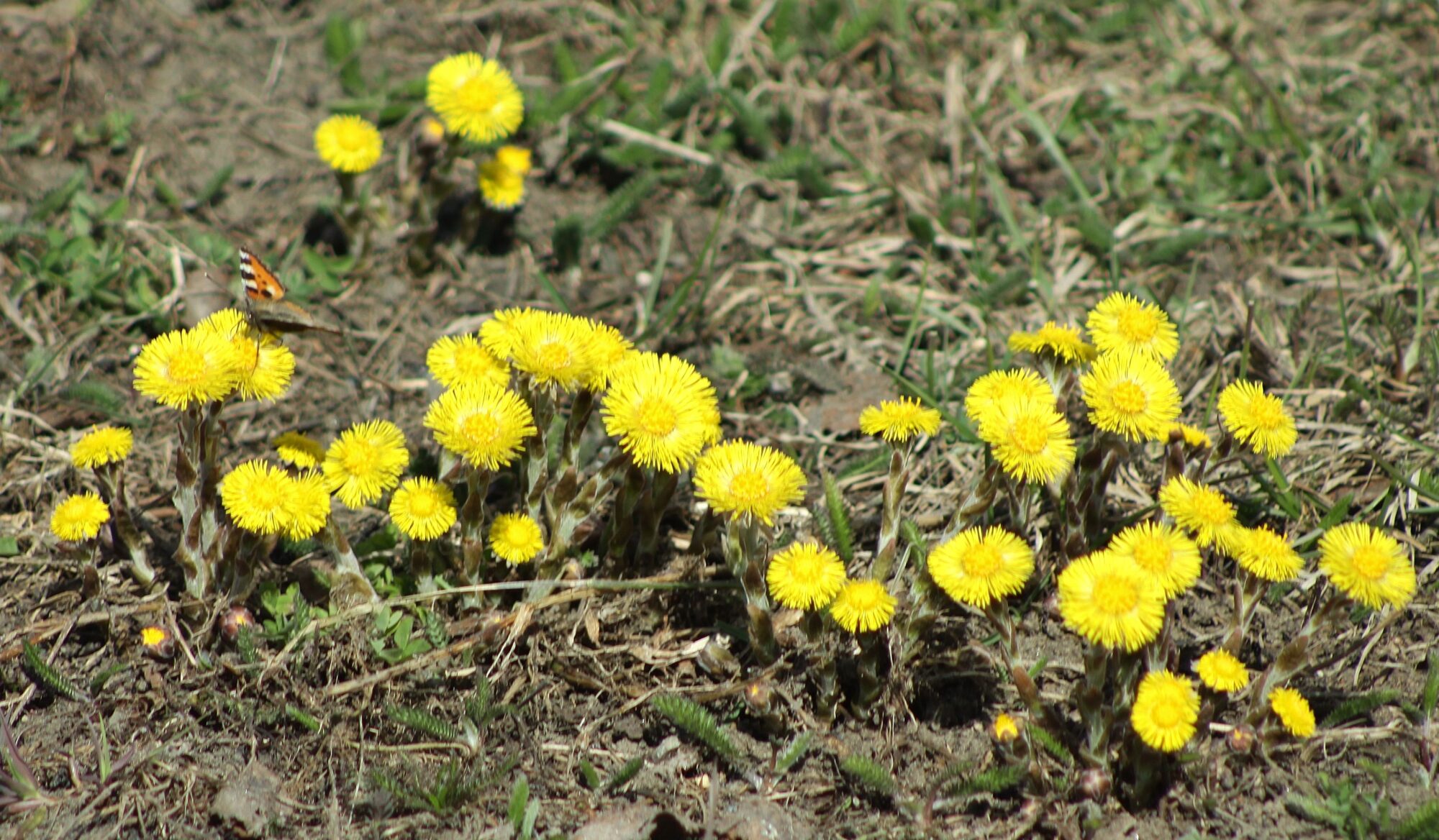 Valokuvaaja: Pirkko Siukonen